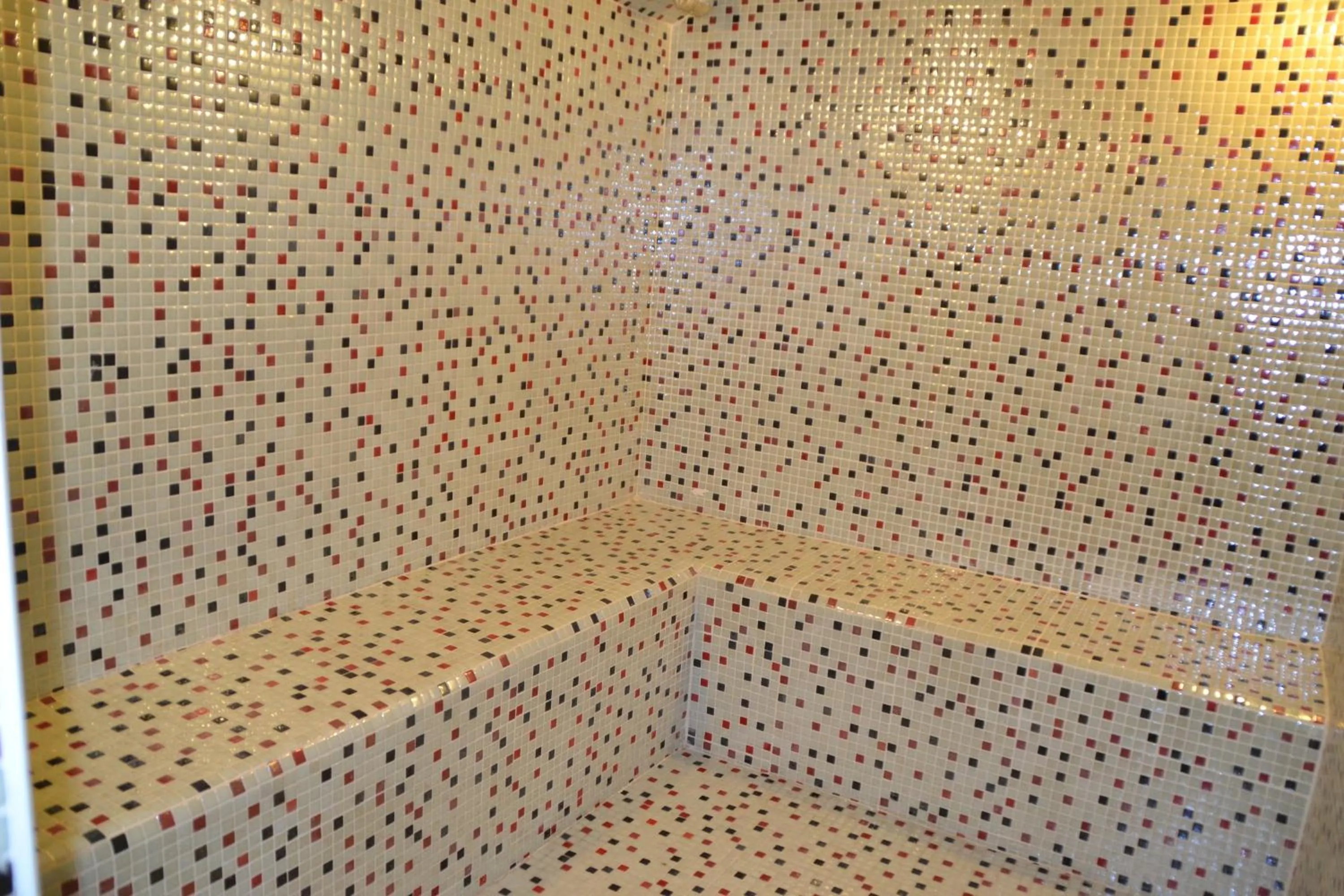 Spa and wellness centre/facilities in Banoj Hotel