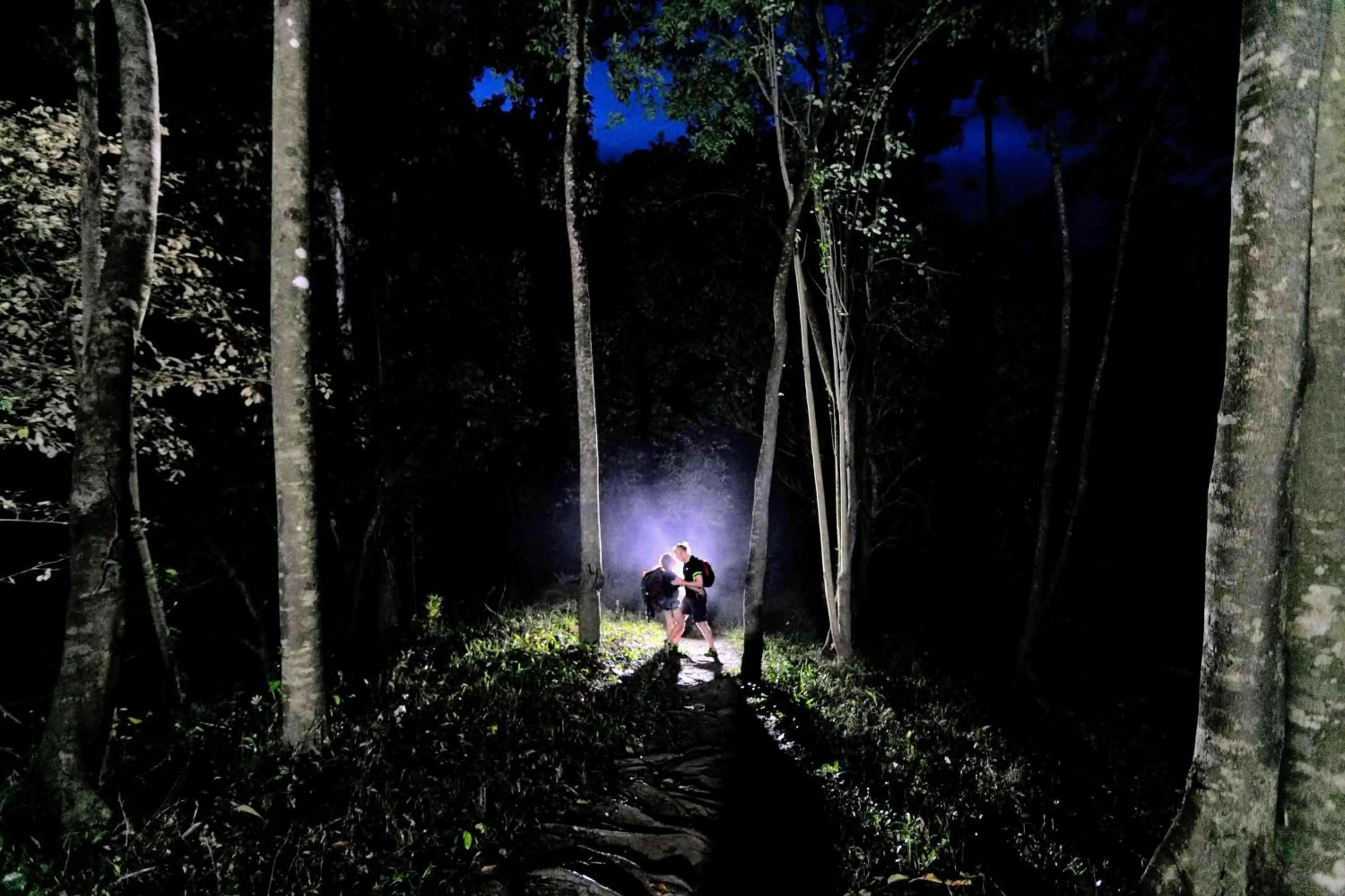 Neighbourhood in Natura Vista