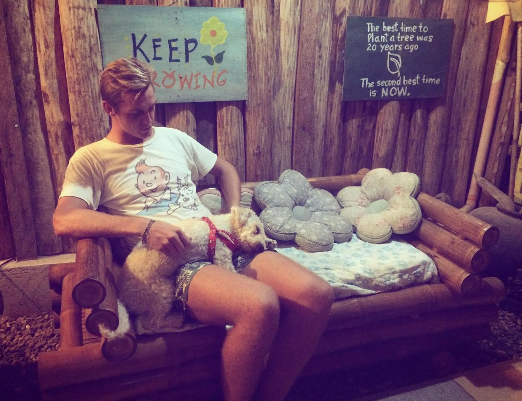 Pets in Natura Vista