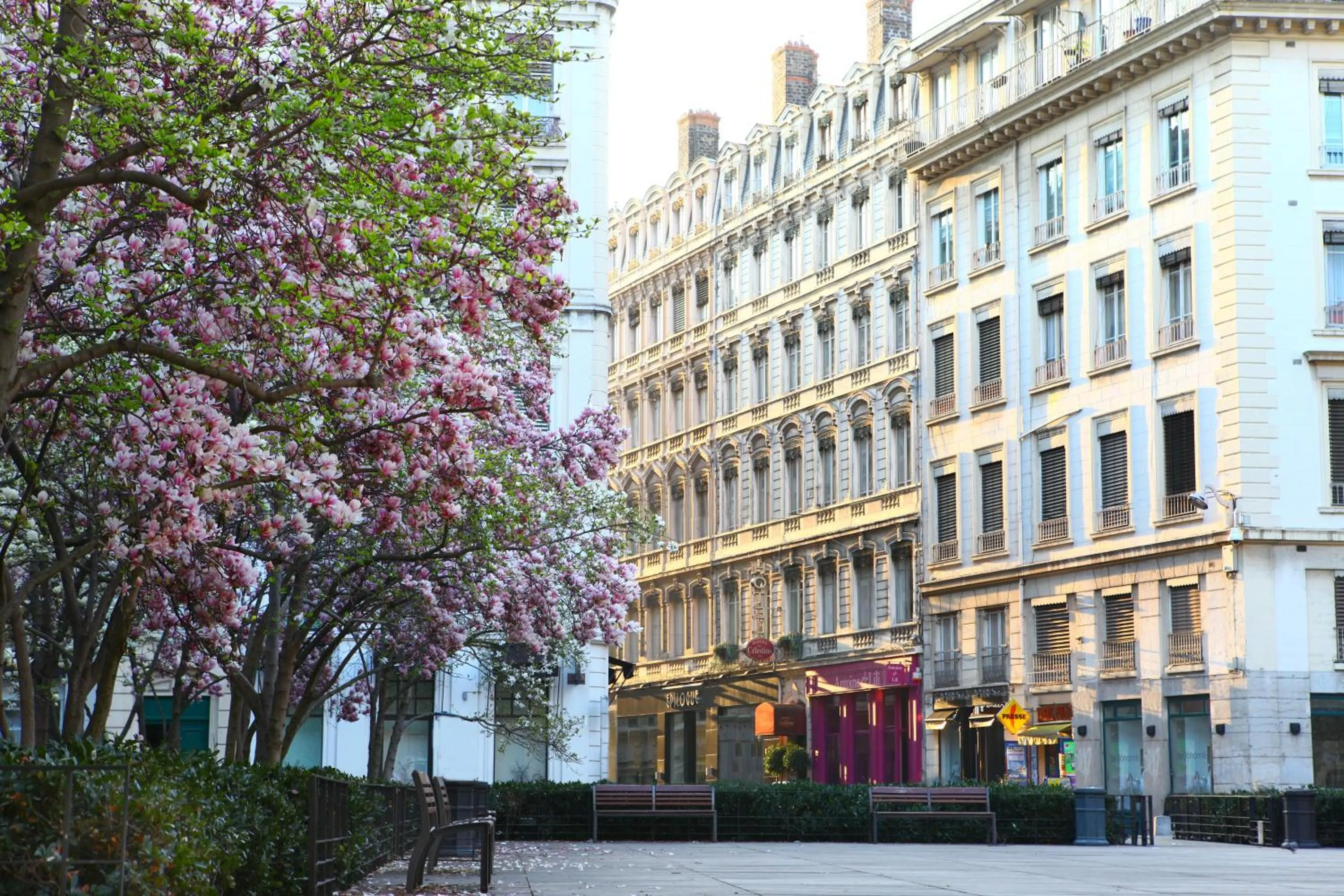 Facade/entrance in Hotel des Celestins