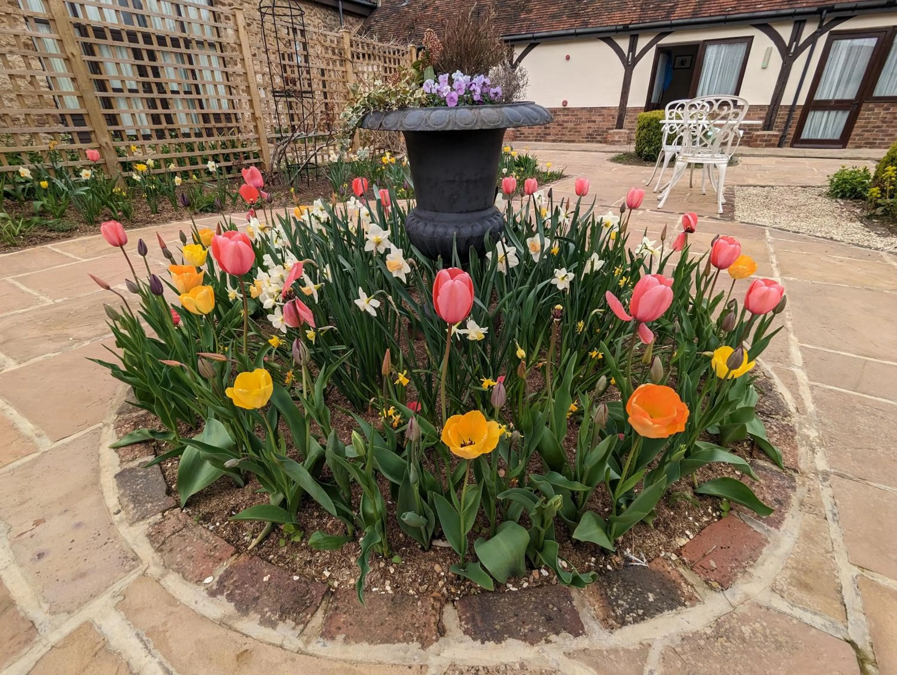 Garden in Kingfisher Barn