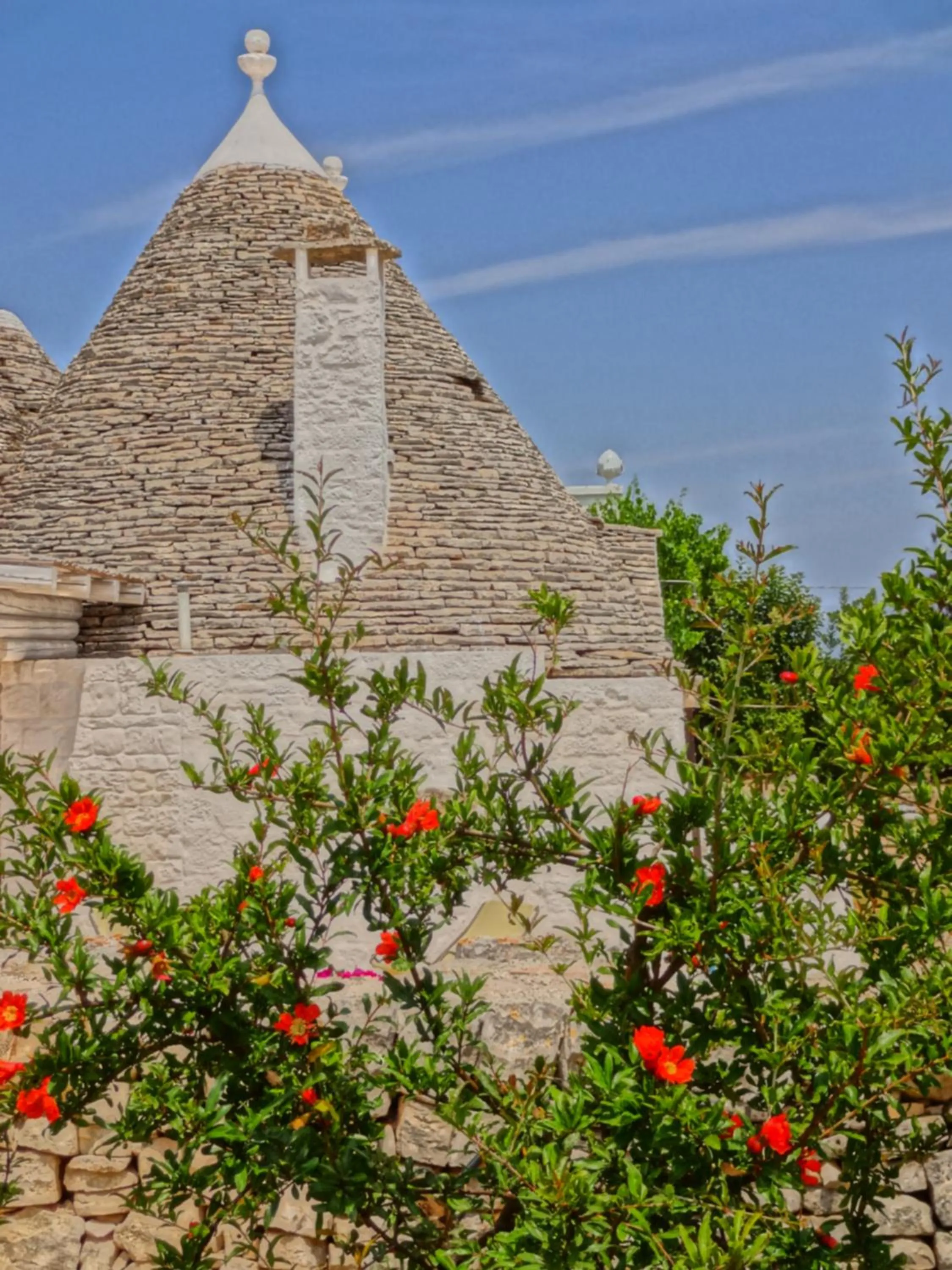 Garden in Masseria Rosa Trulli Relais