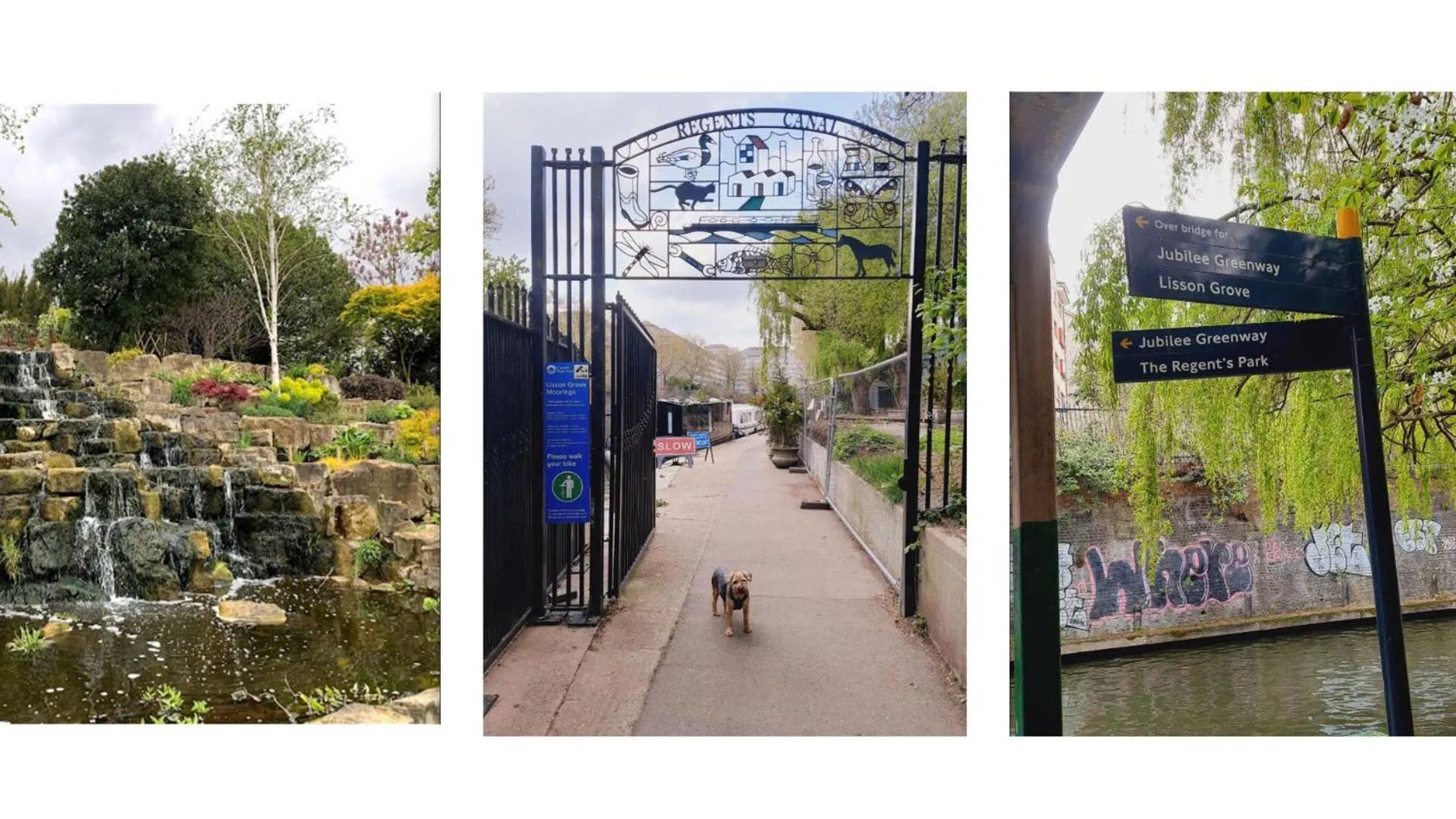 Garden in London Marylebone Grendon rooms