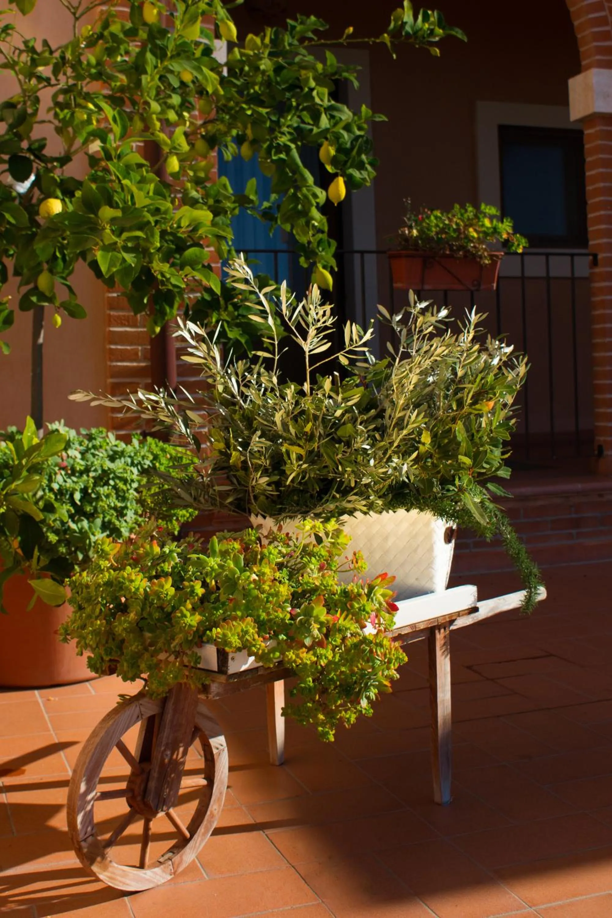 Decorative detail in Saturnia Tuscany Hotel