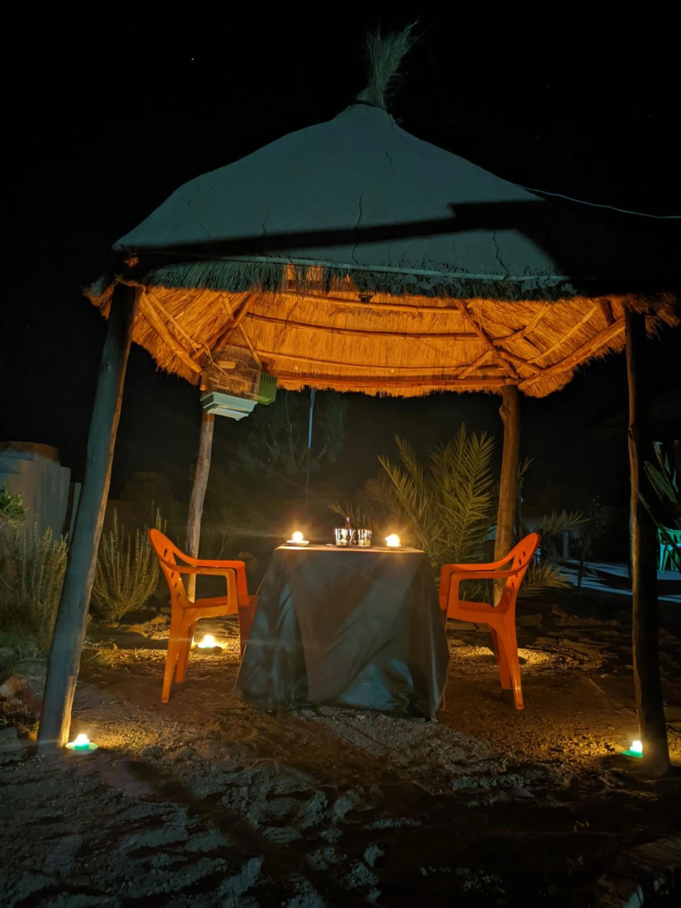 Café restaurante shelter calm life