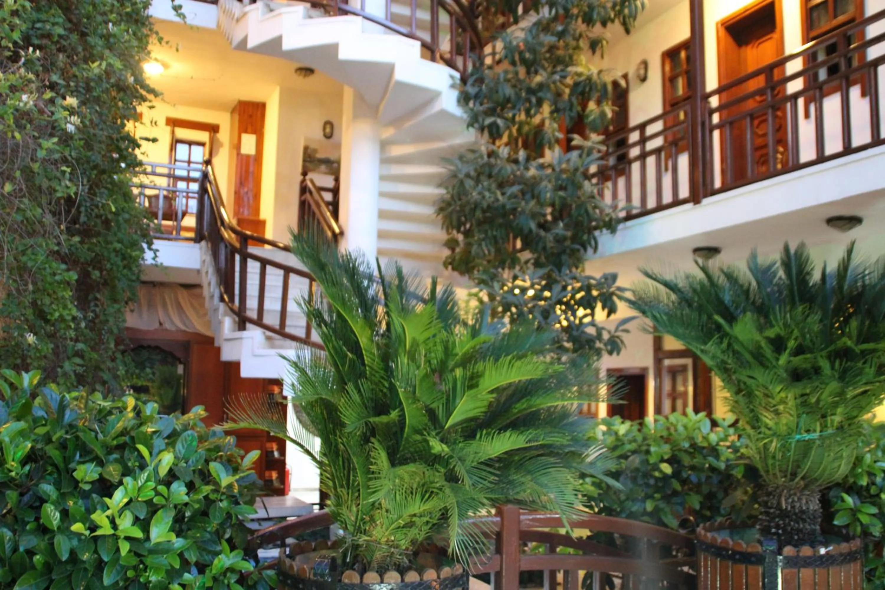 Decorative detail in Hotel Karyatit Kaleici