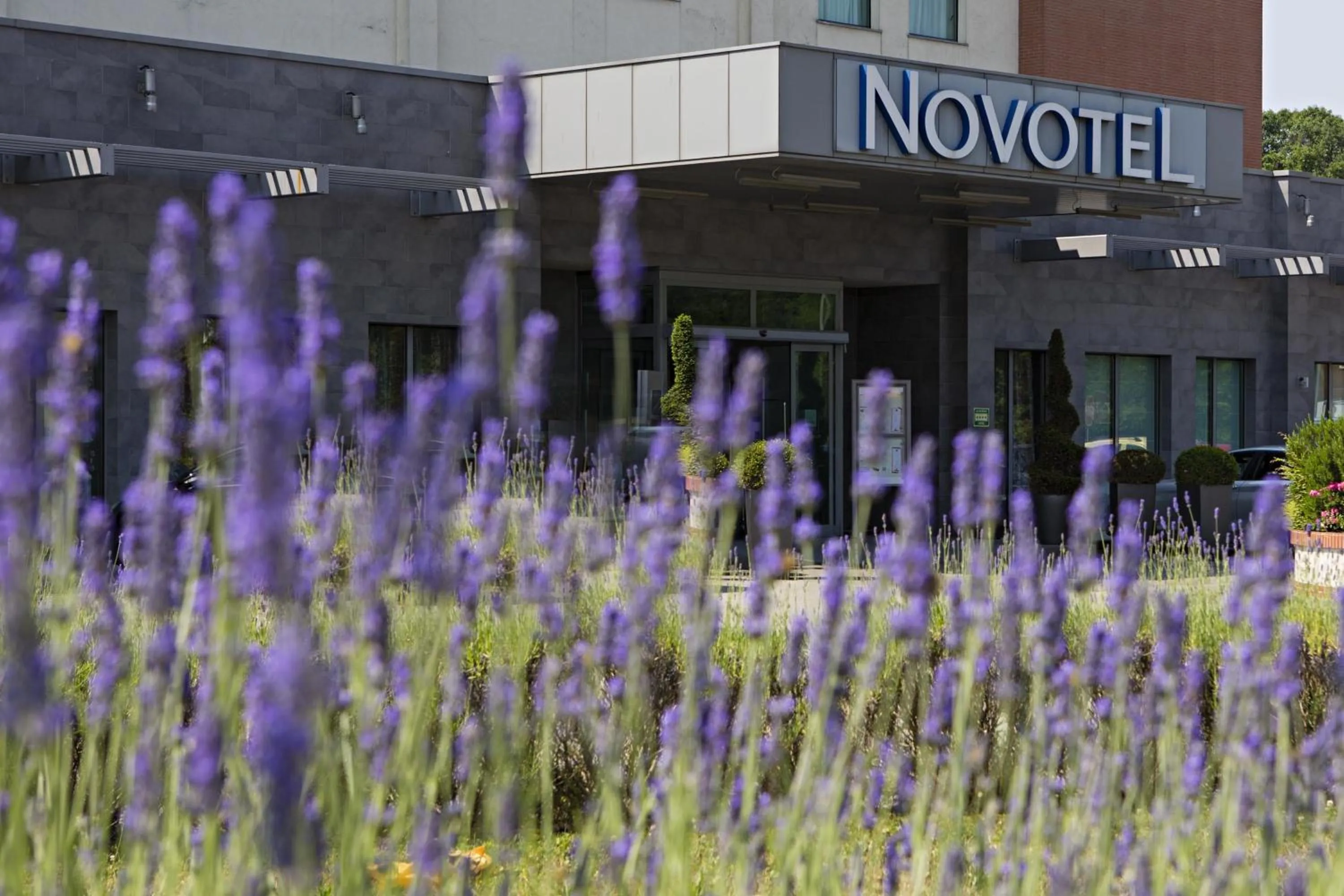 Bird's eye view in Novotel Milano Malpensa Aeroporto
