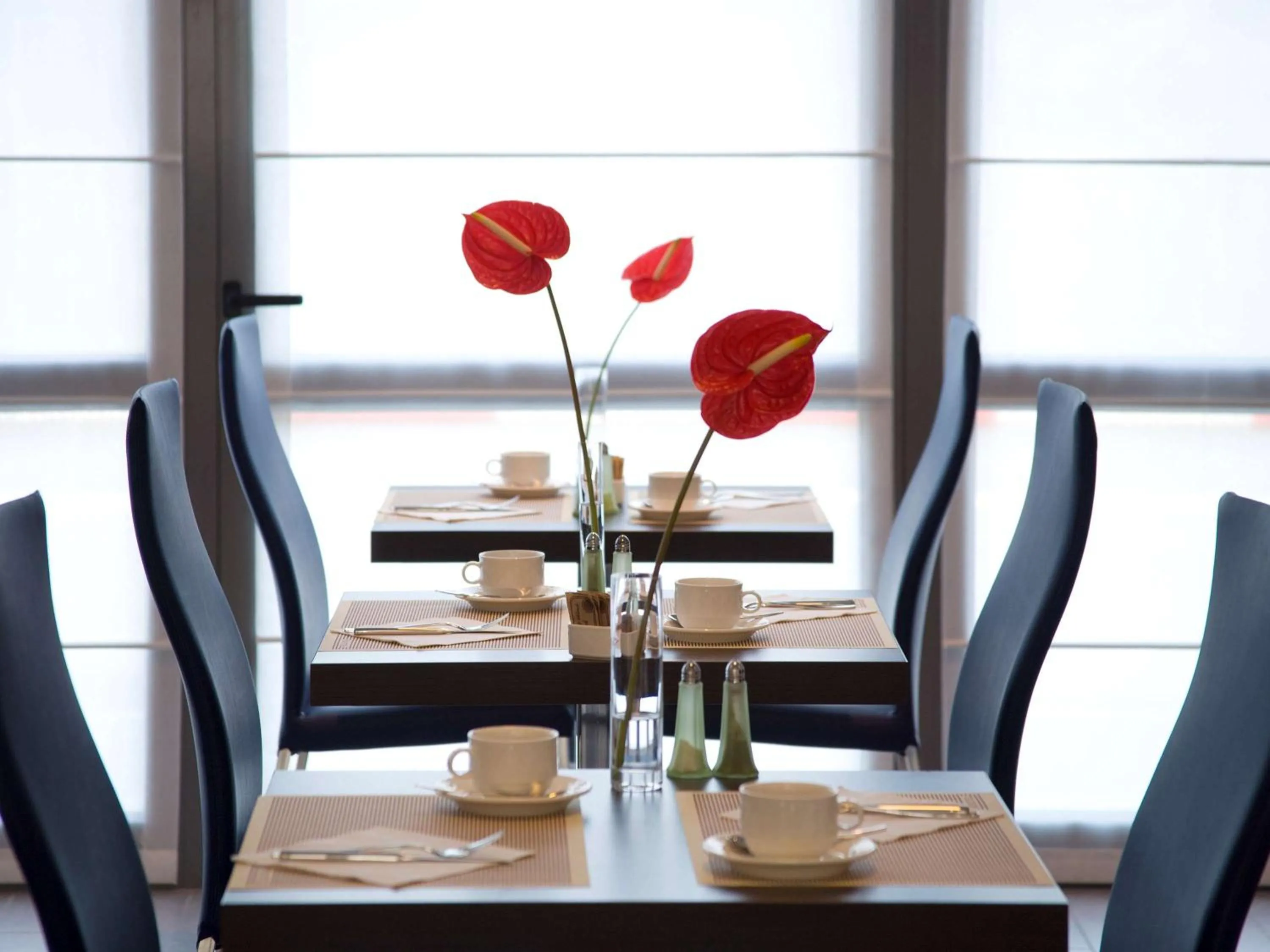 Restaurant/places to eat in Novotel Milano Malpensa Aeroporto