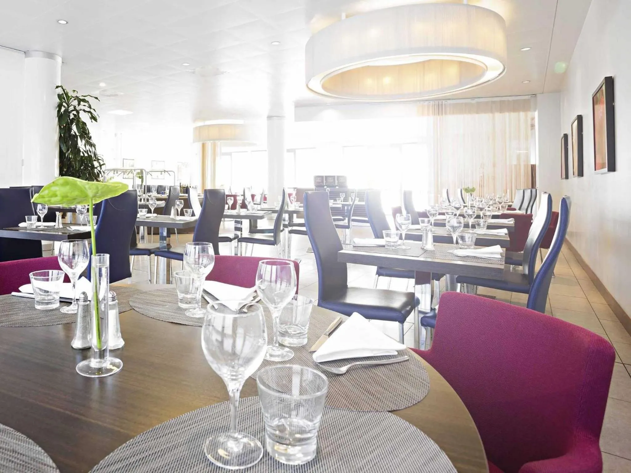 Restaurant/places to eat in Novotel Milano Malpensa Aeroporto