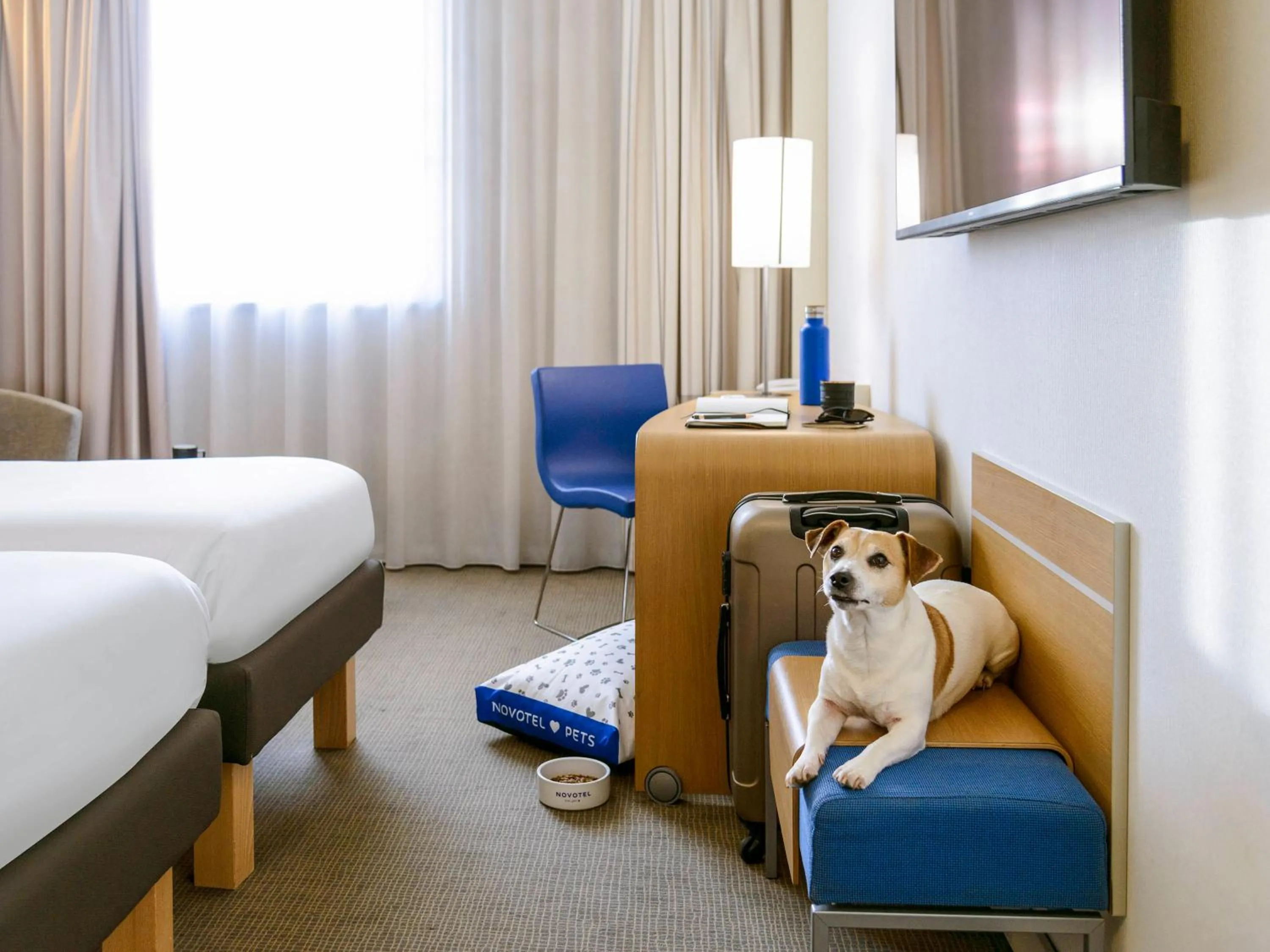 Pets, Bed in Novotel Milano Malpensa Aeroporto