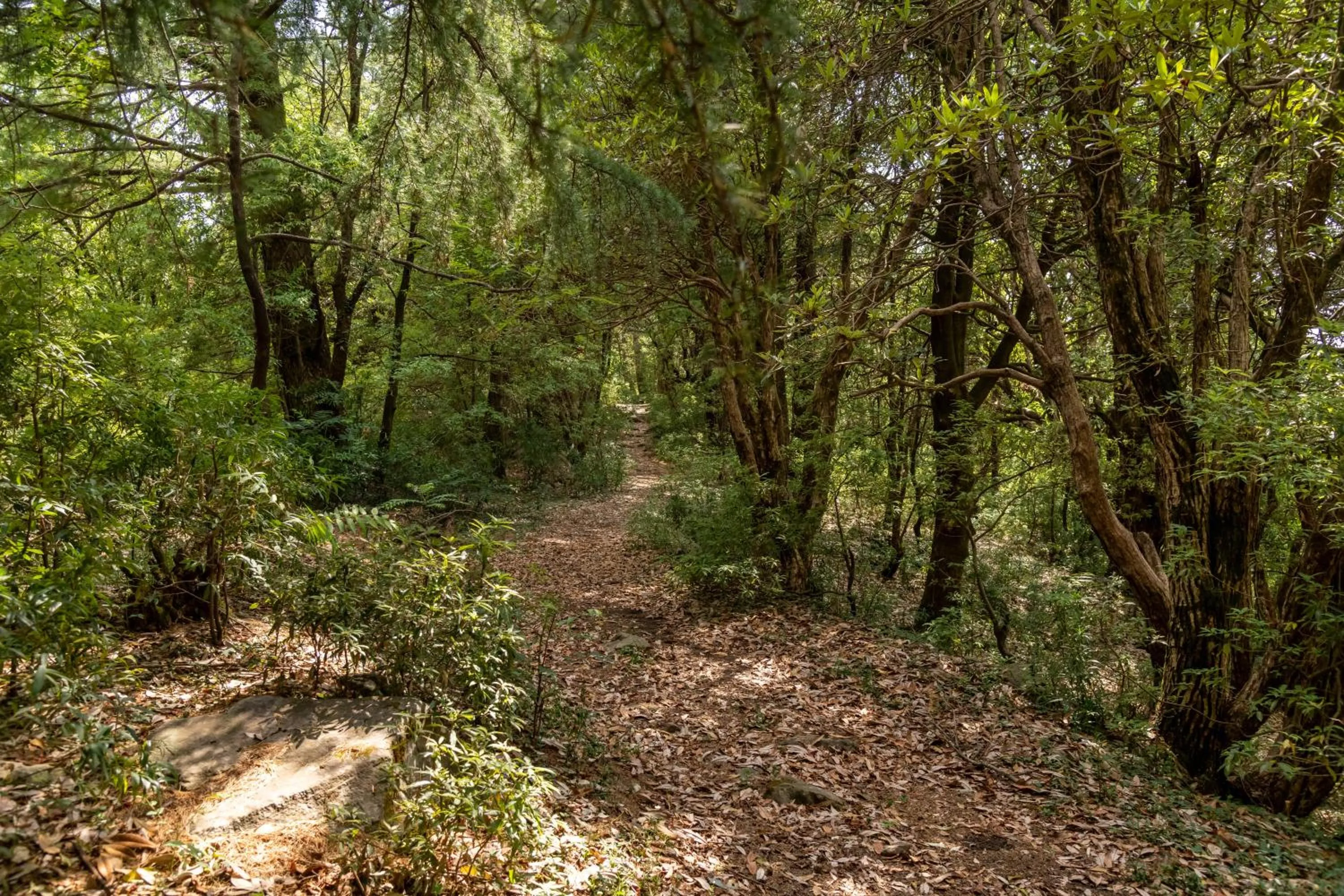 Hiking in Hotel Eagles Nest