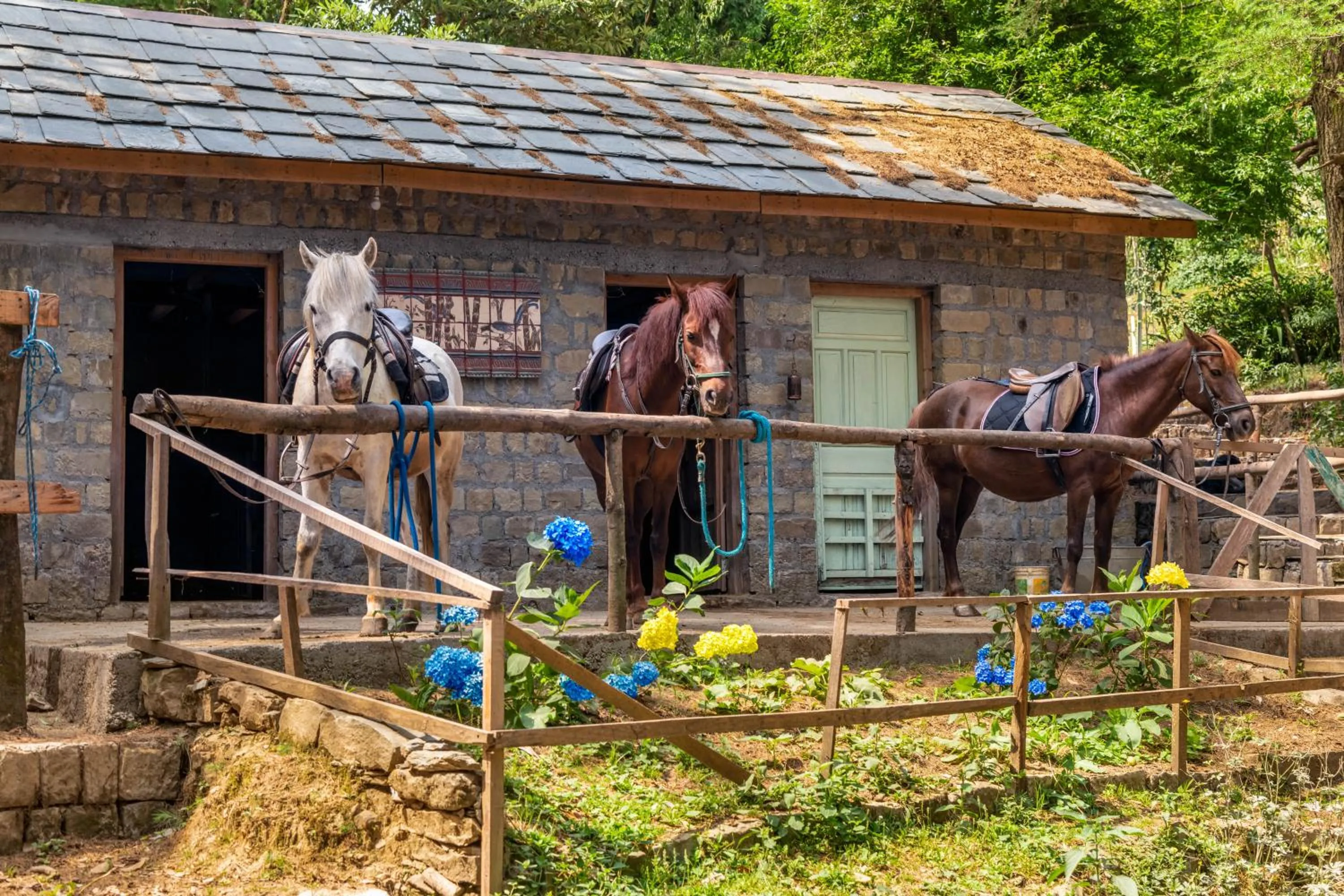 Horse-riding in Hotel Eagles Nest