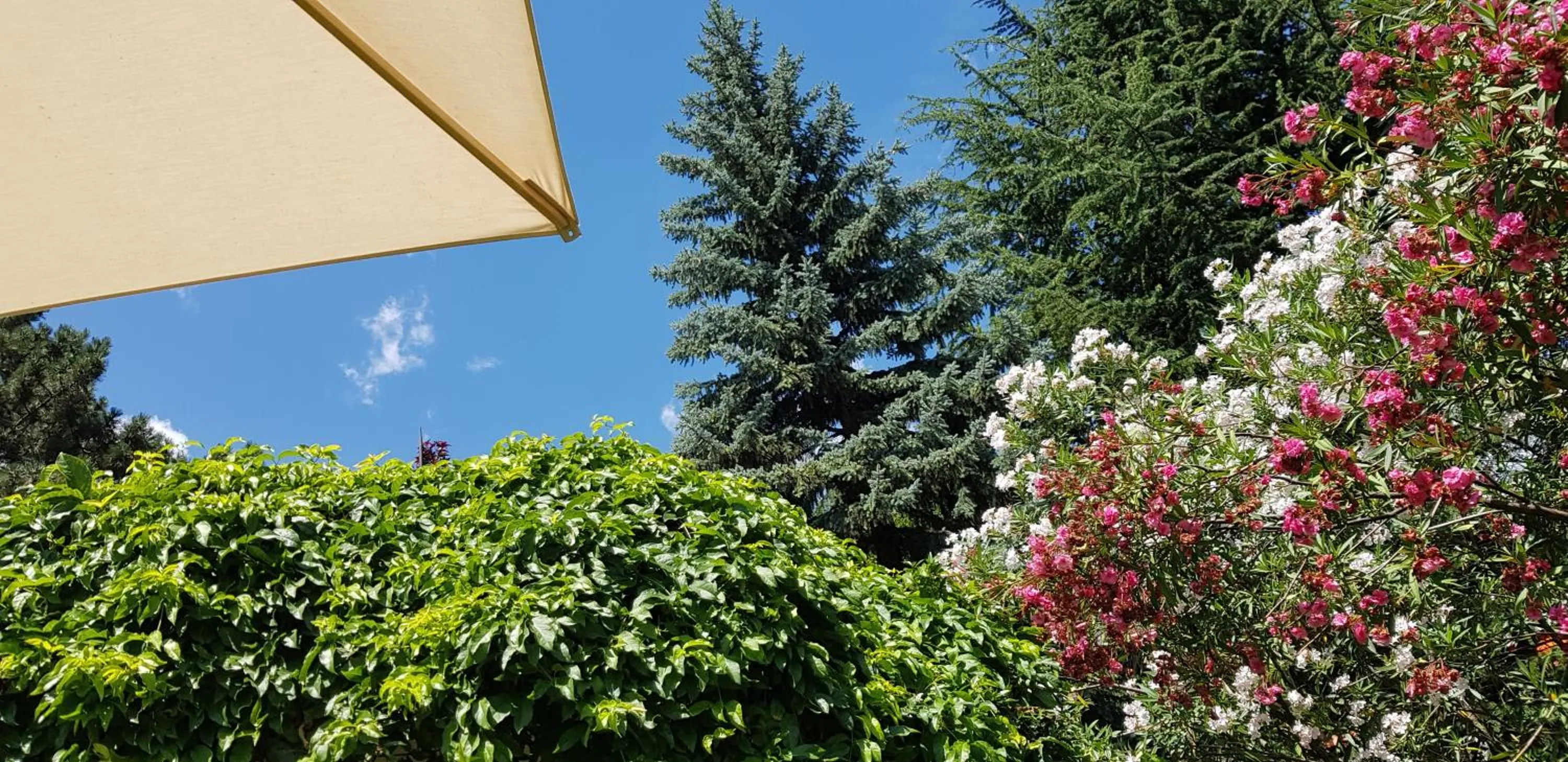 Garden in Hotel Gartenresidence Zea Curtis