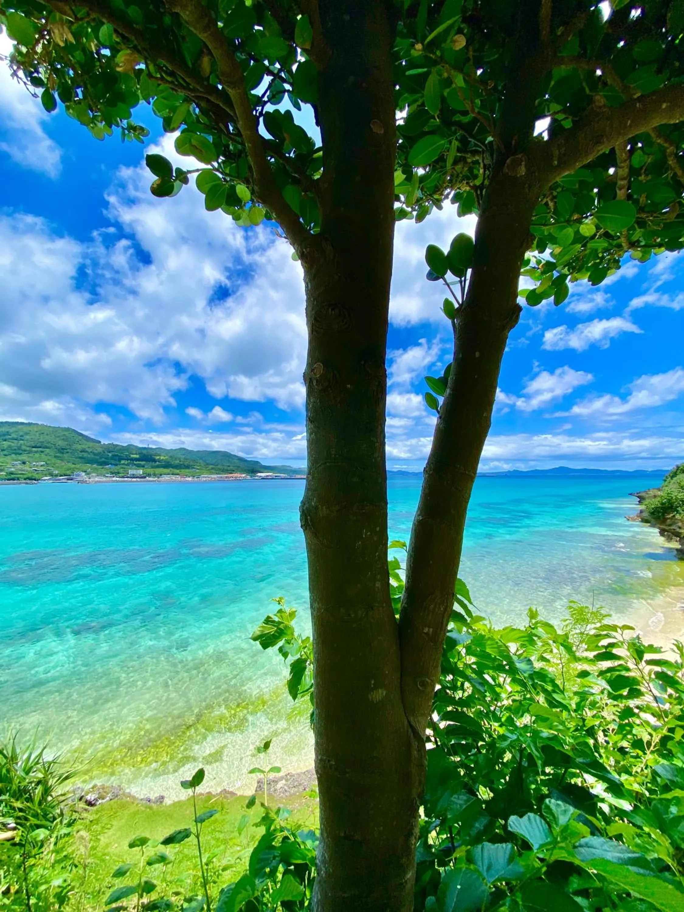 Natural landscape in Hotel Little Swiss House