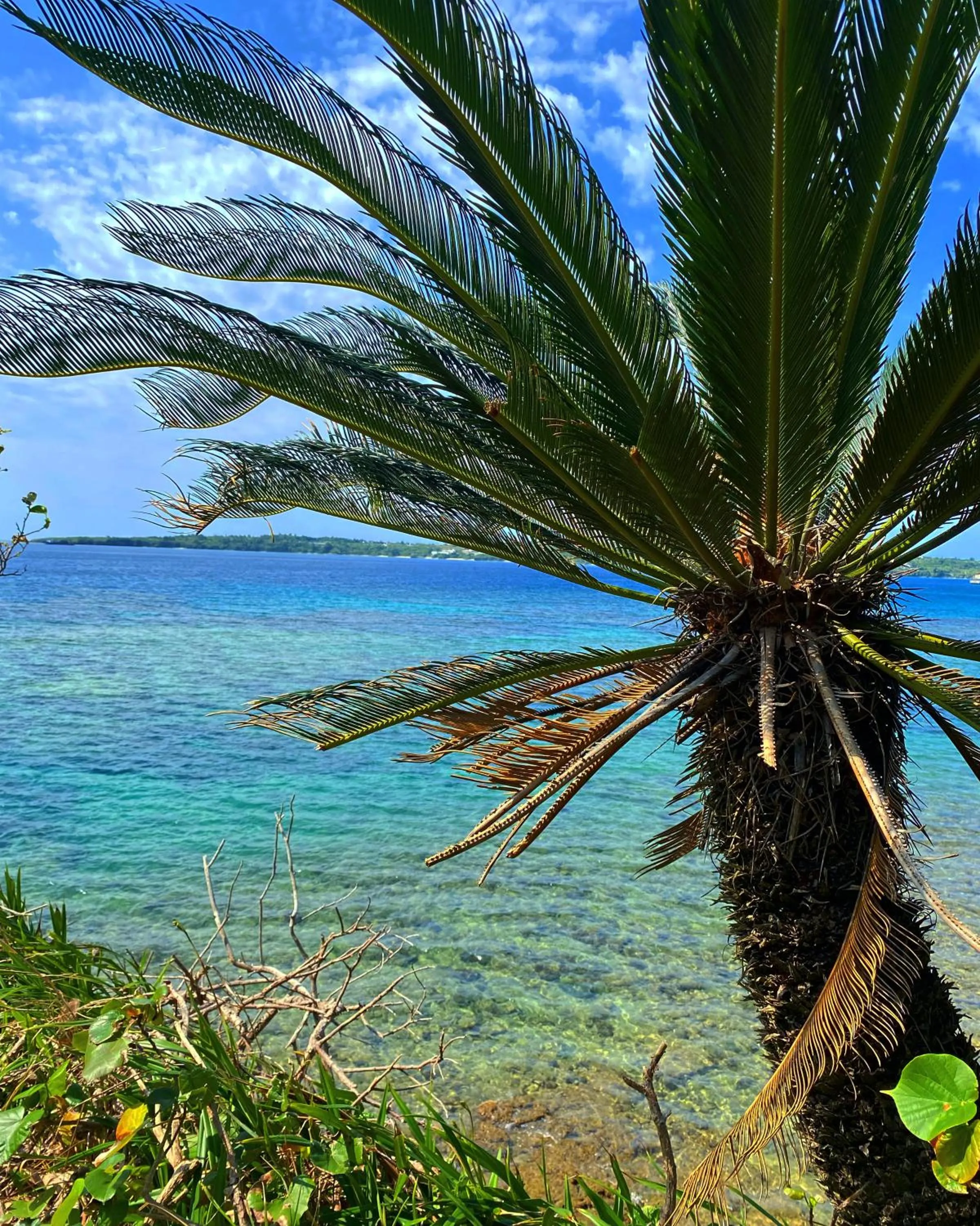 Beach in Hotel Little Swiss House