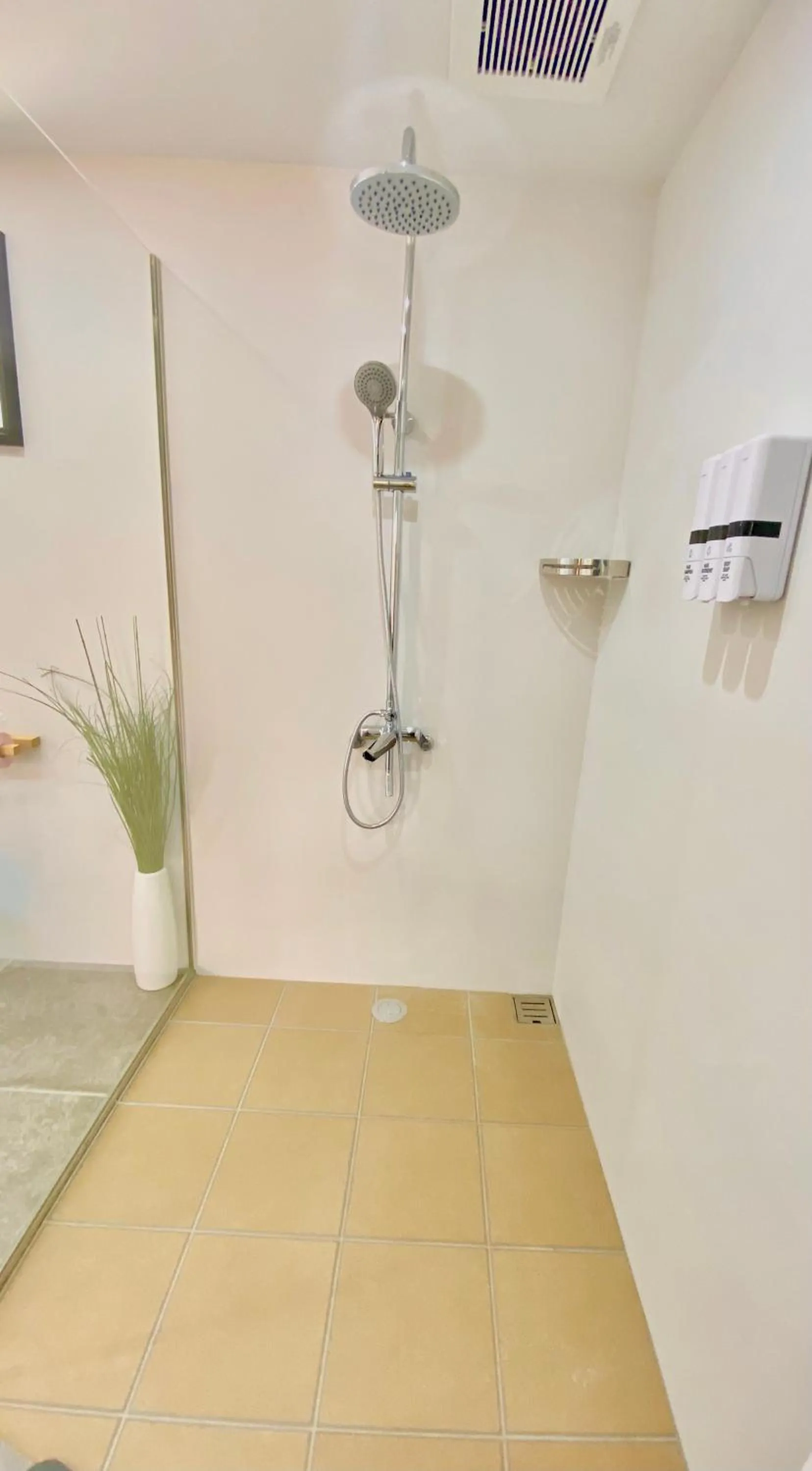 Shower in Hotel Little Swiss House