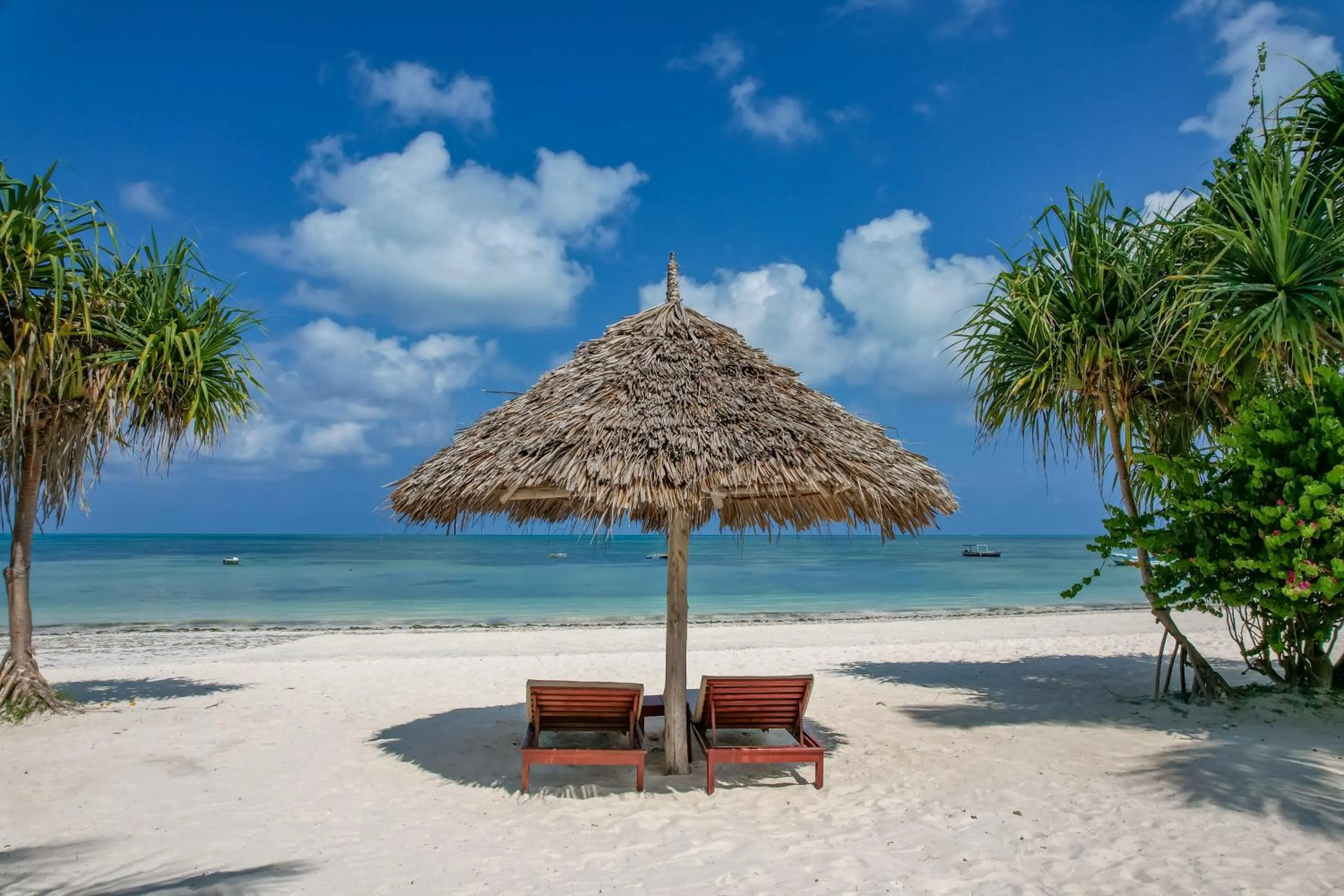 Beach in Alma Boutique Hotel