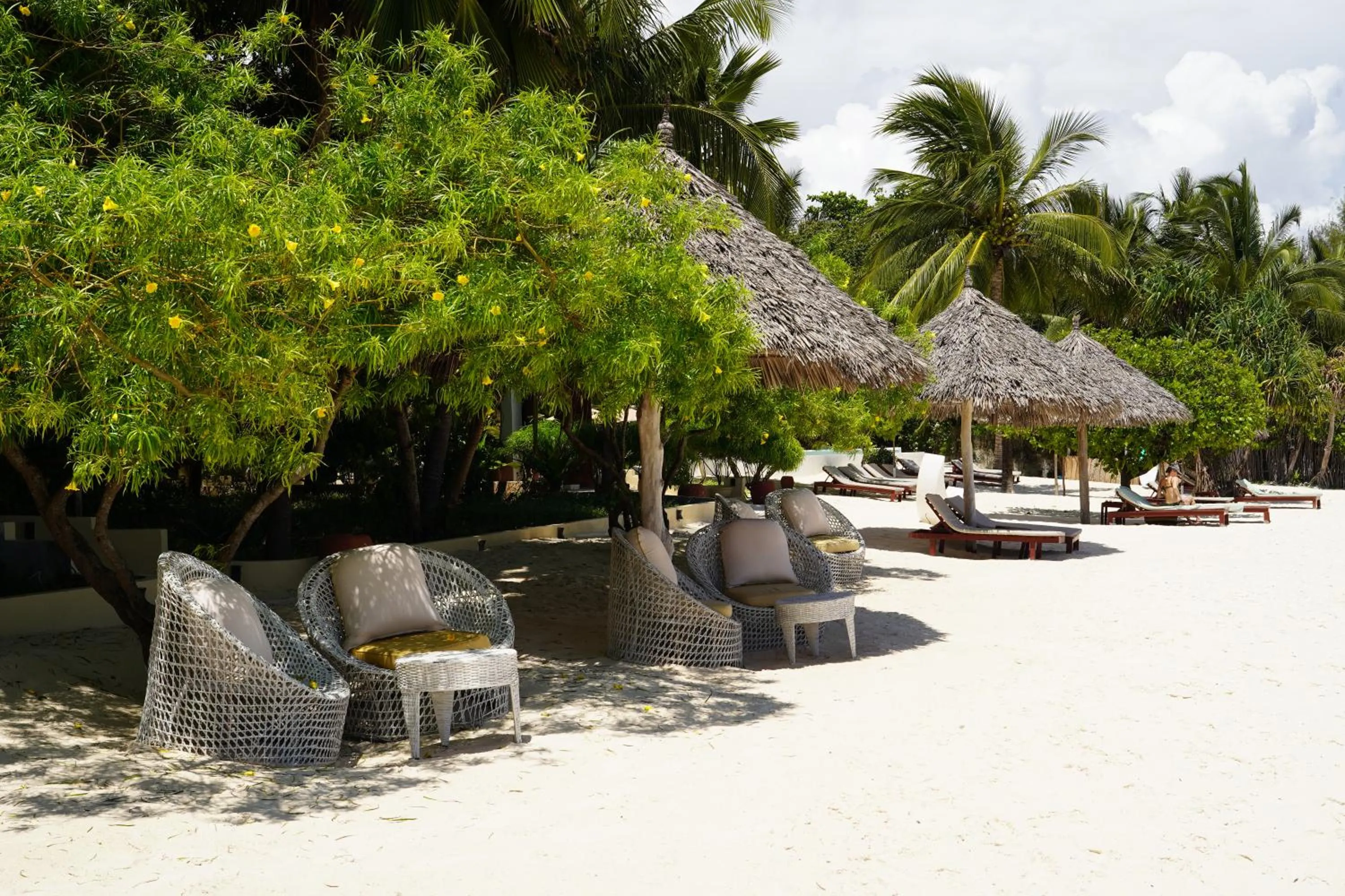 Beach in Alma Boutique Hotel