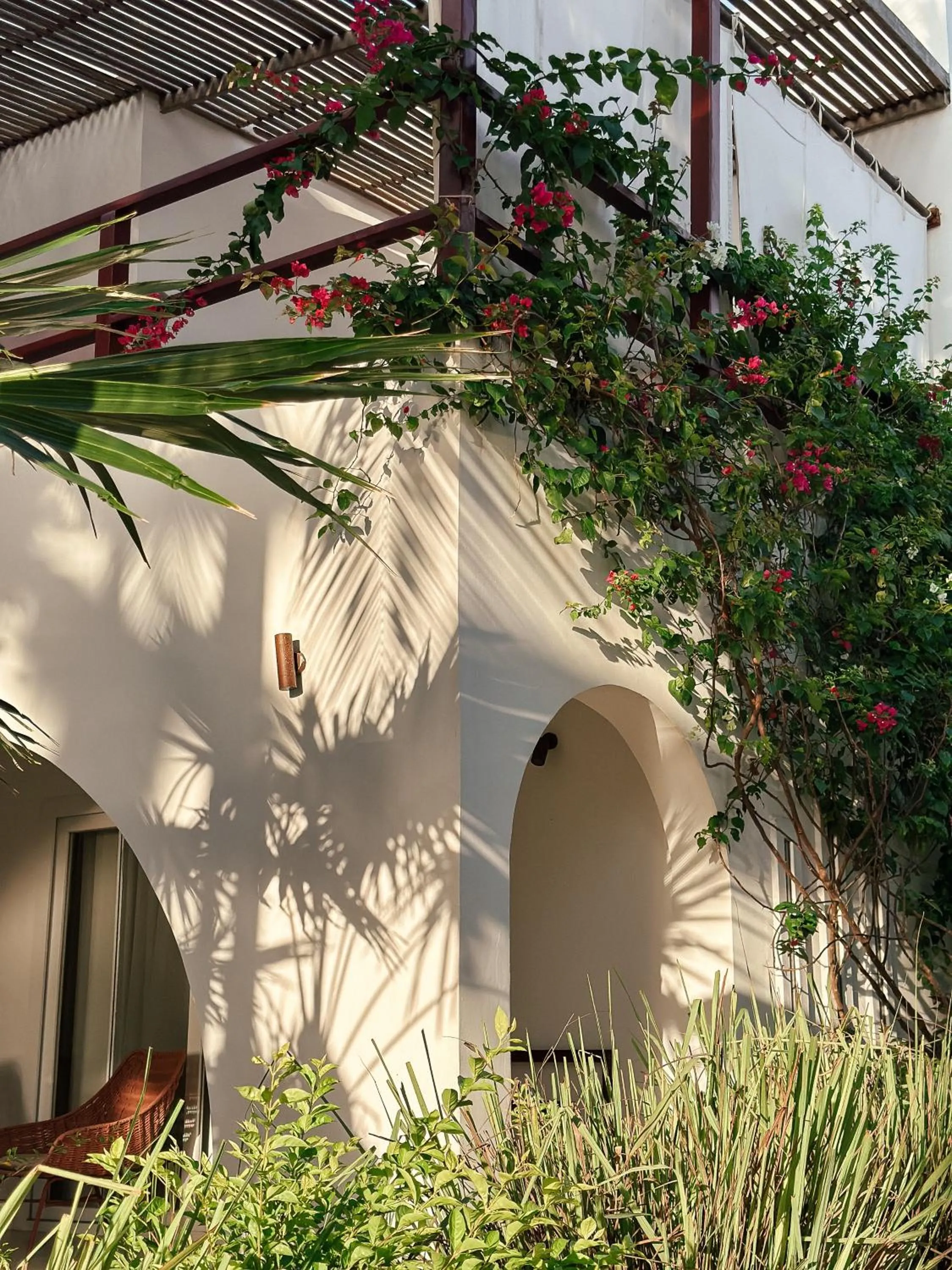 Property building in Alma Boutique Hotel