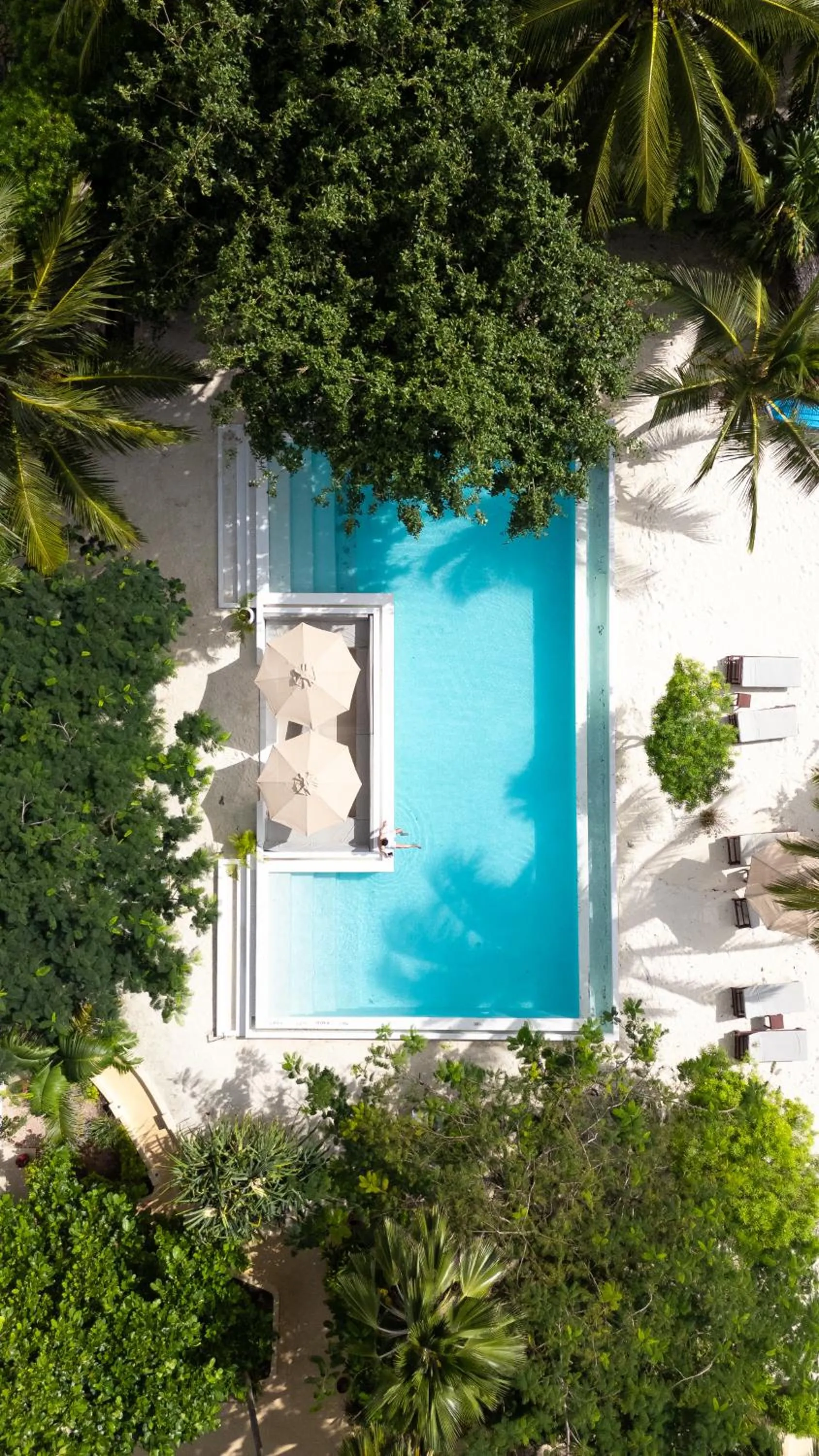 Swimming pool in Alma Boutique Hotel