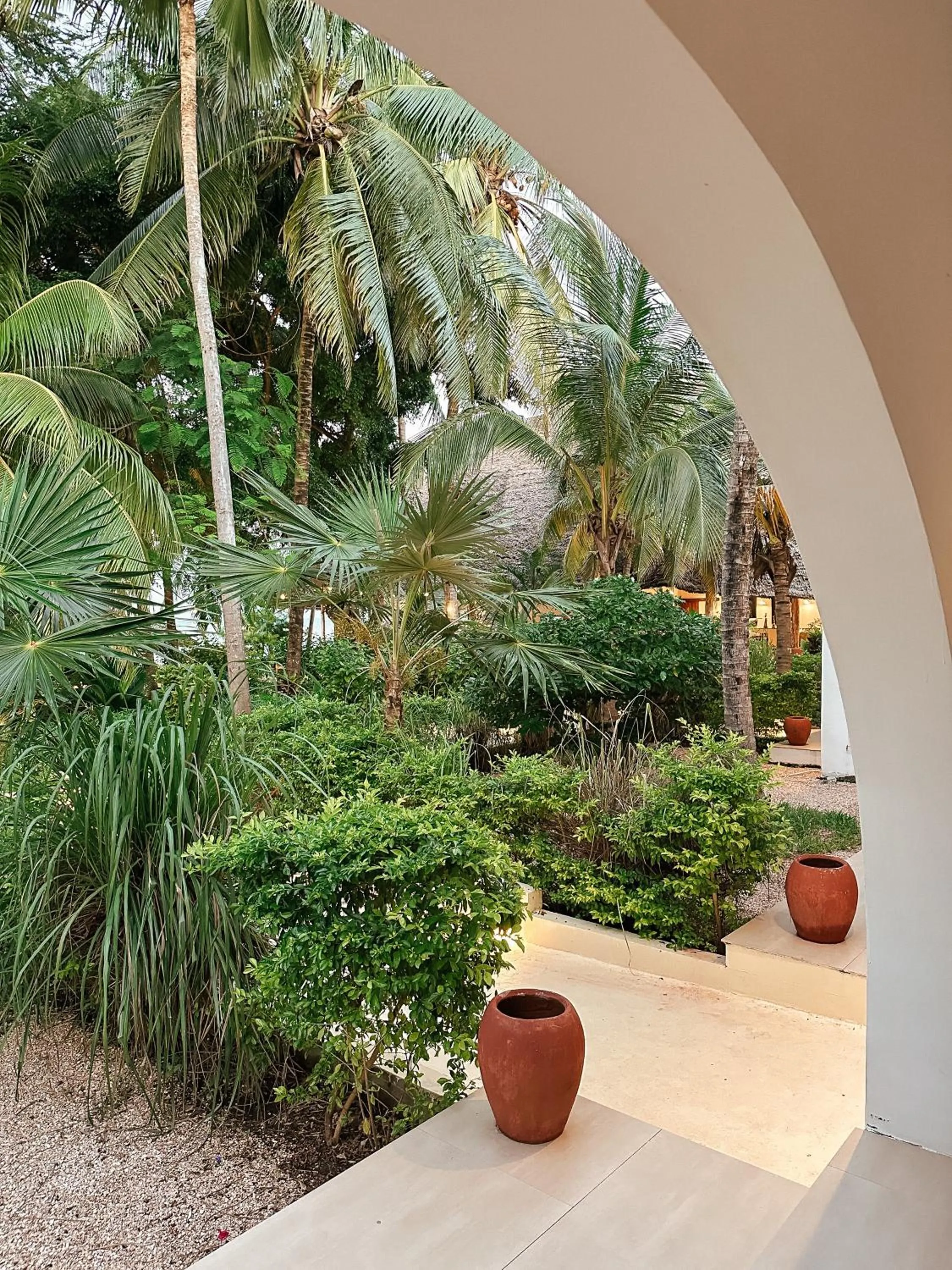 Garden view in Alma Boutique Hotel