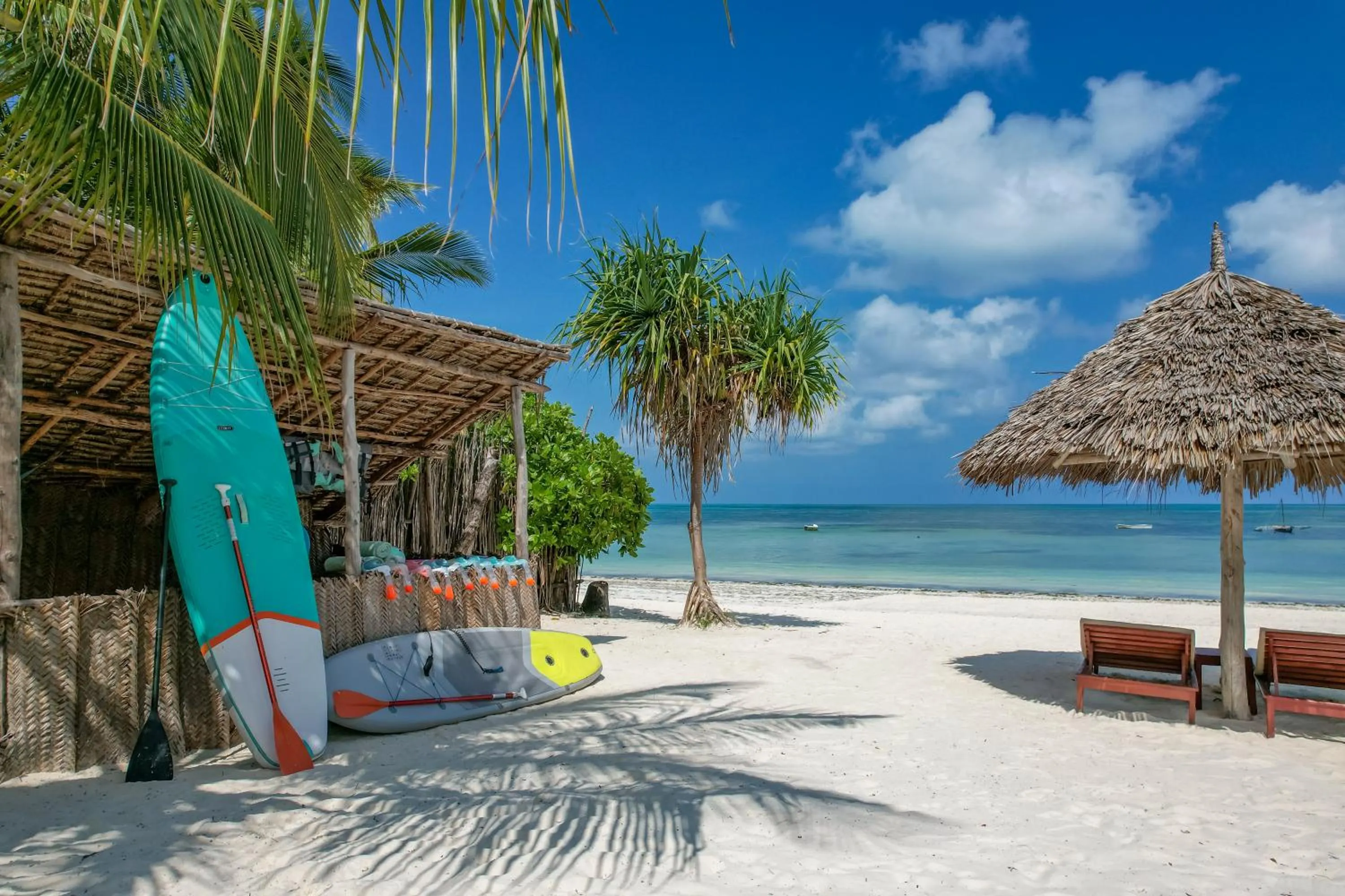 Beach in Alma Boutique Hotel