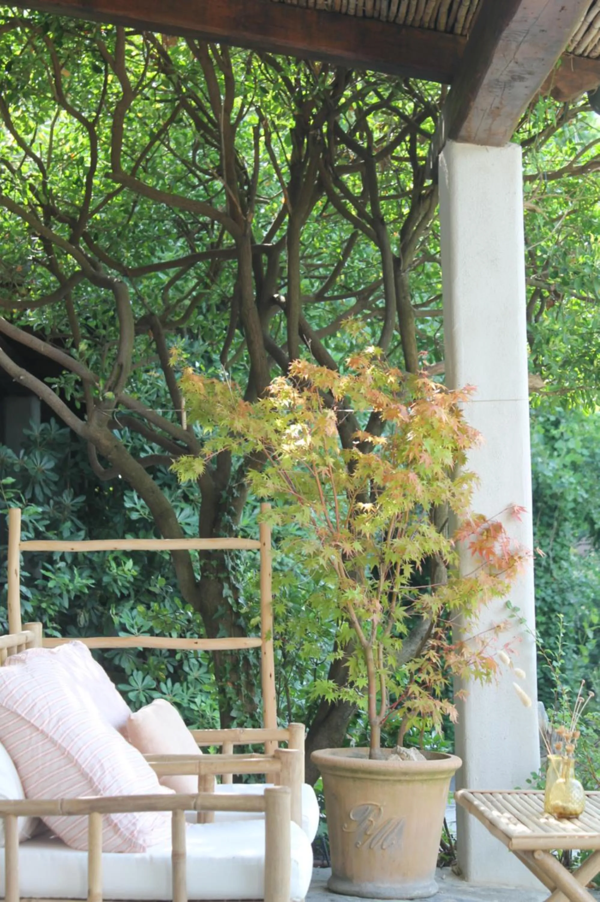 Patio in Clori Gaeta