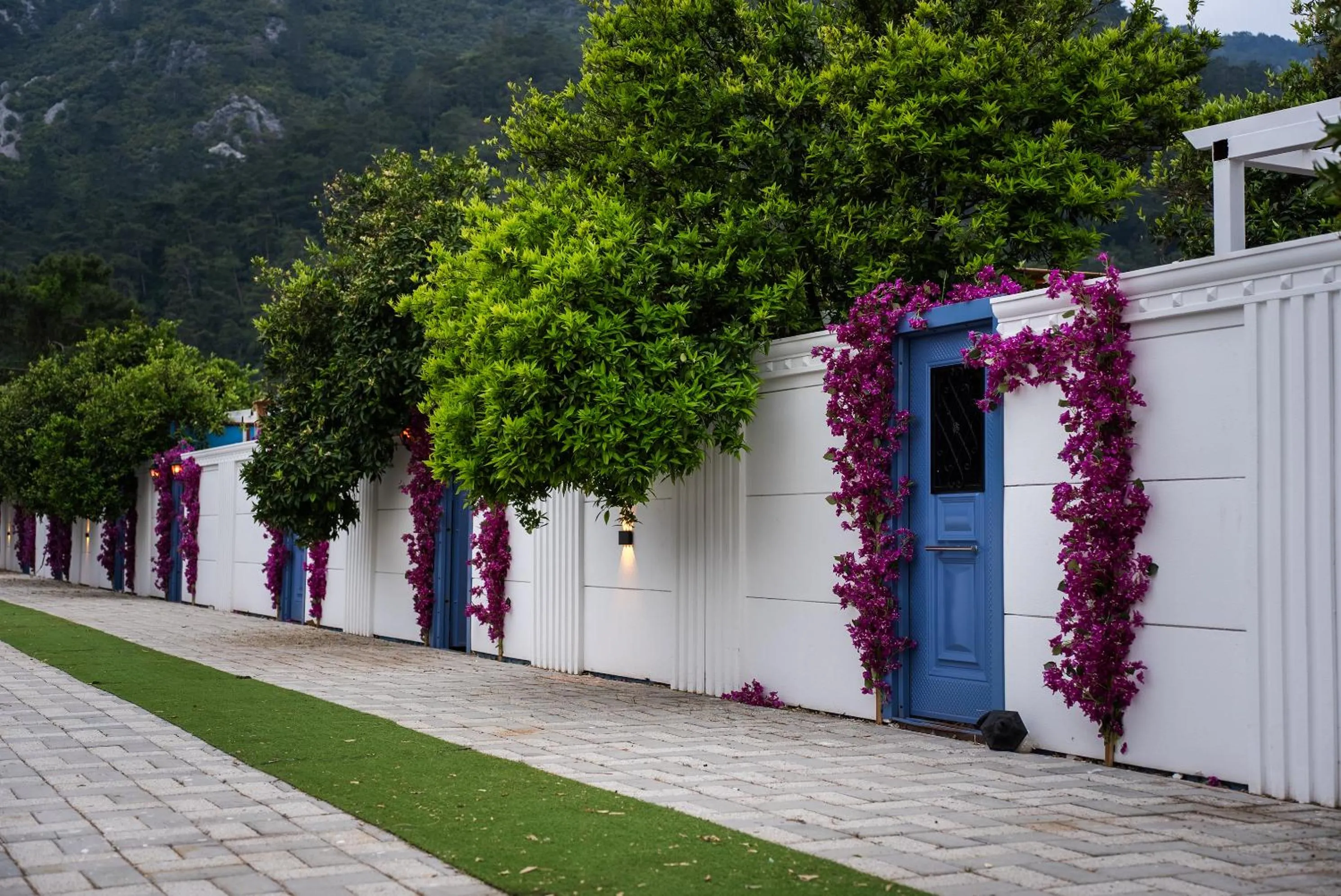 Garden in Collesium Garden