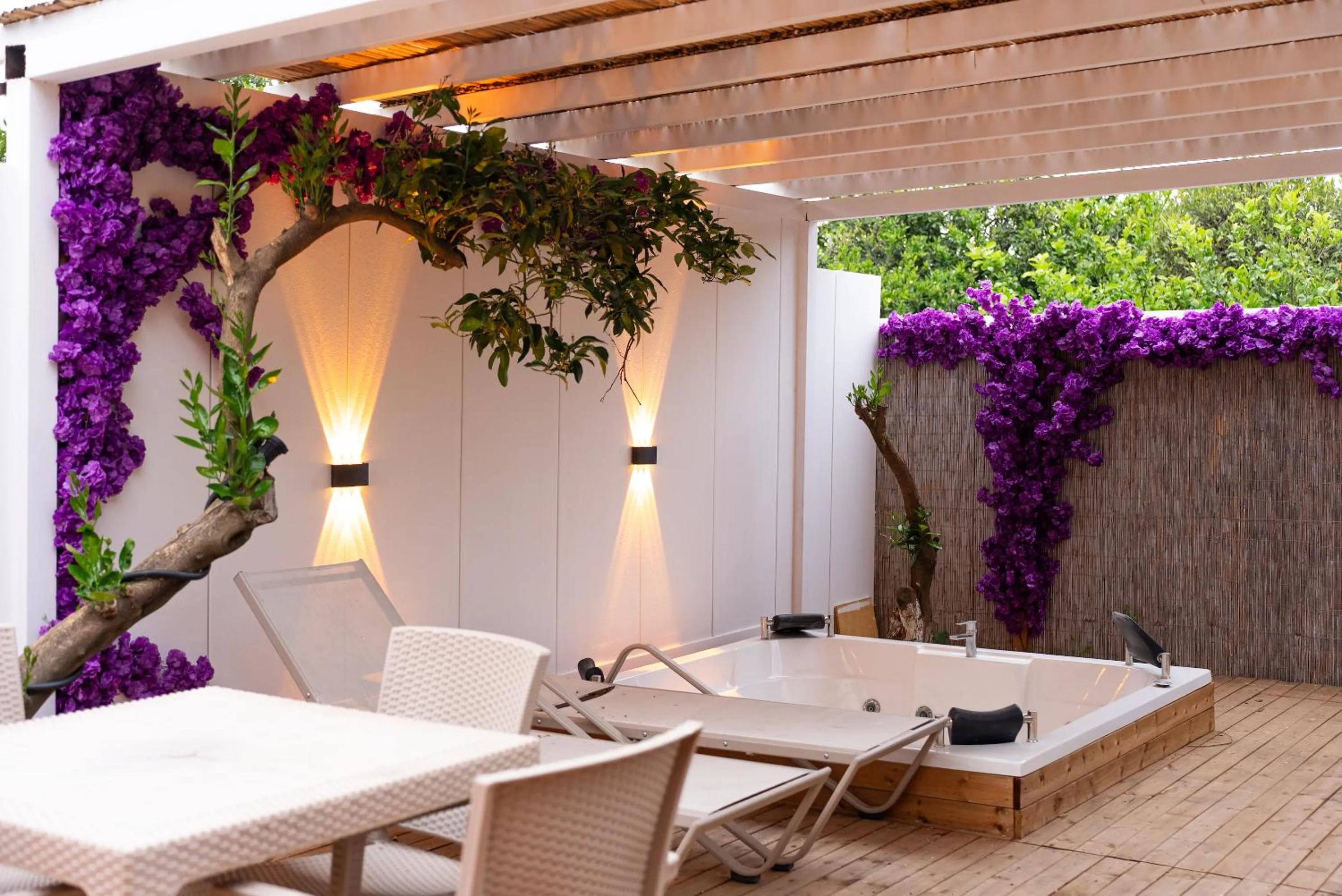 Garden view in Collesium Garden