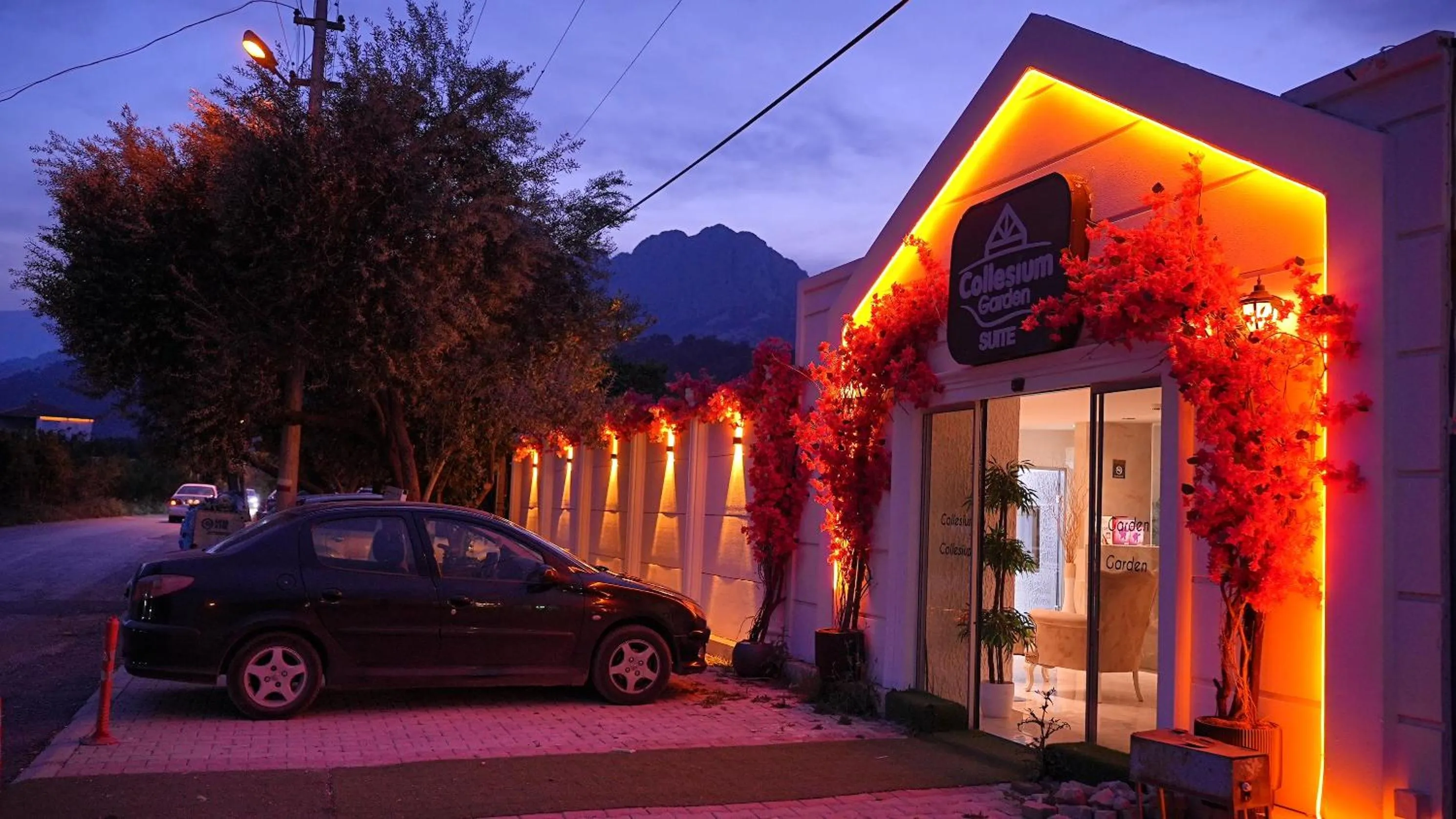 Property building in Collesium Garden