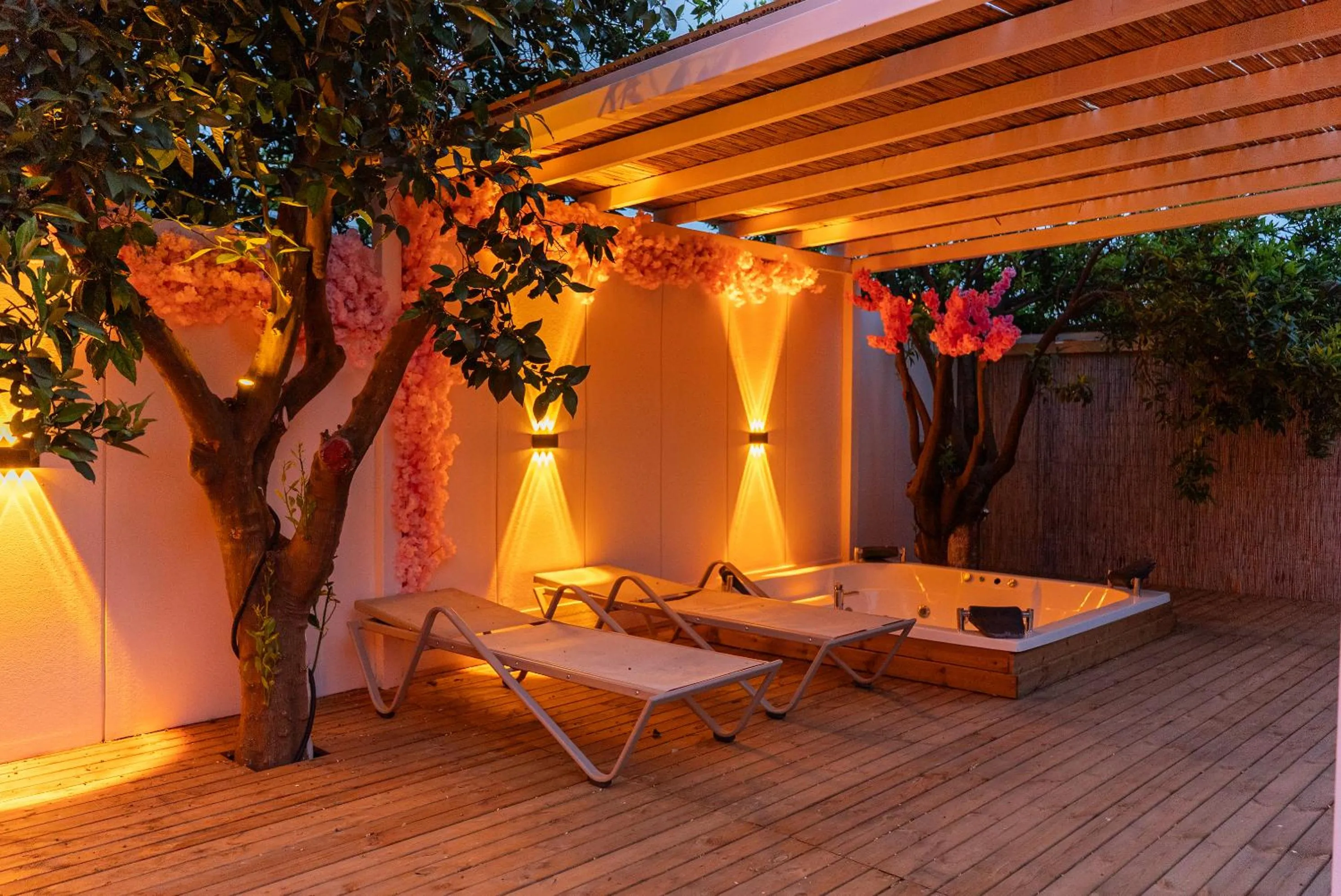 Garden view in Collesium Garden