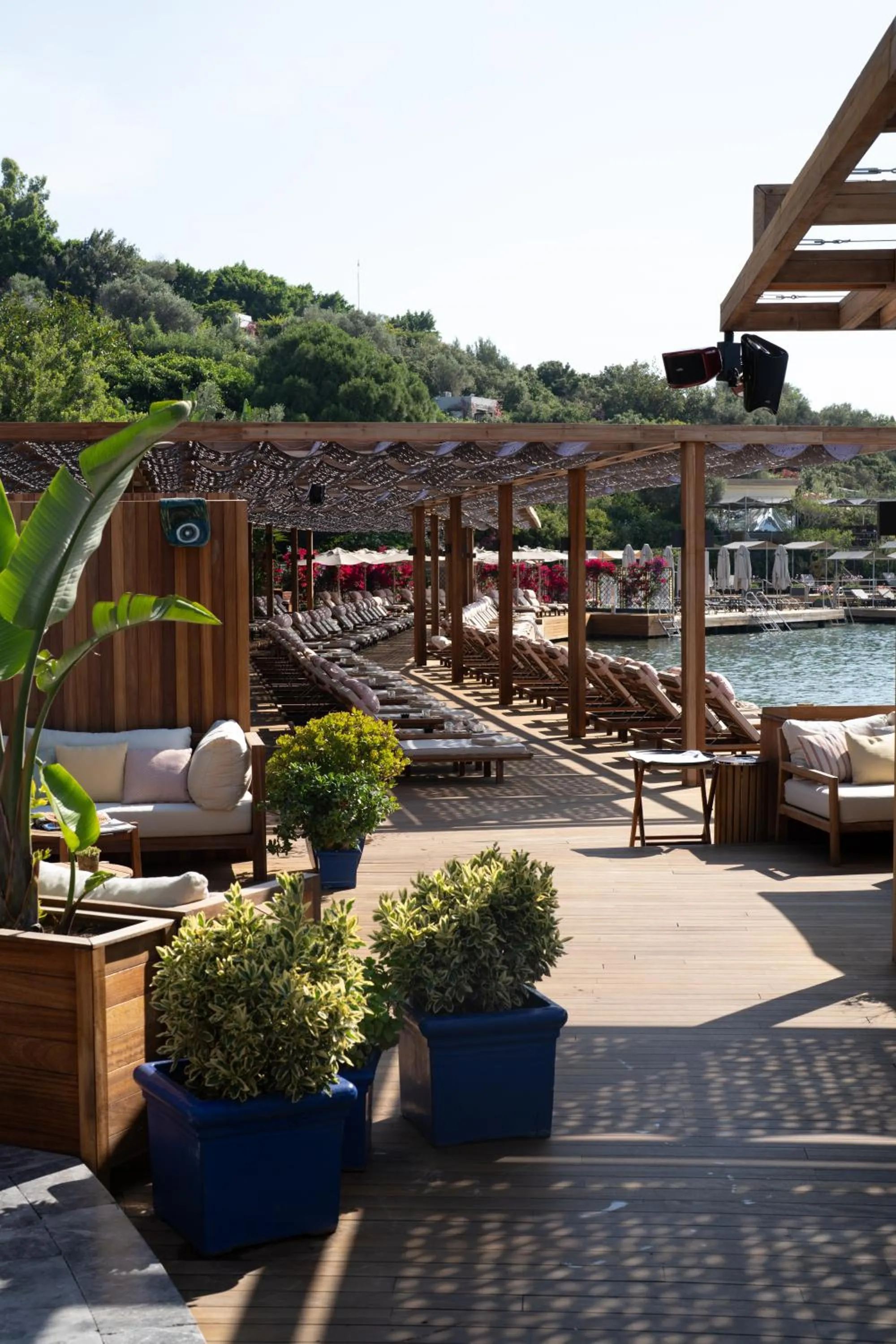 Property building in No81 Hotel