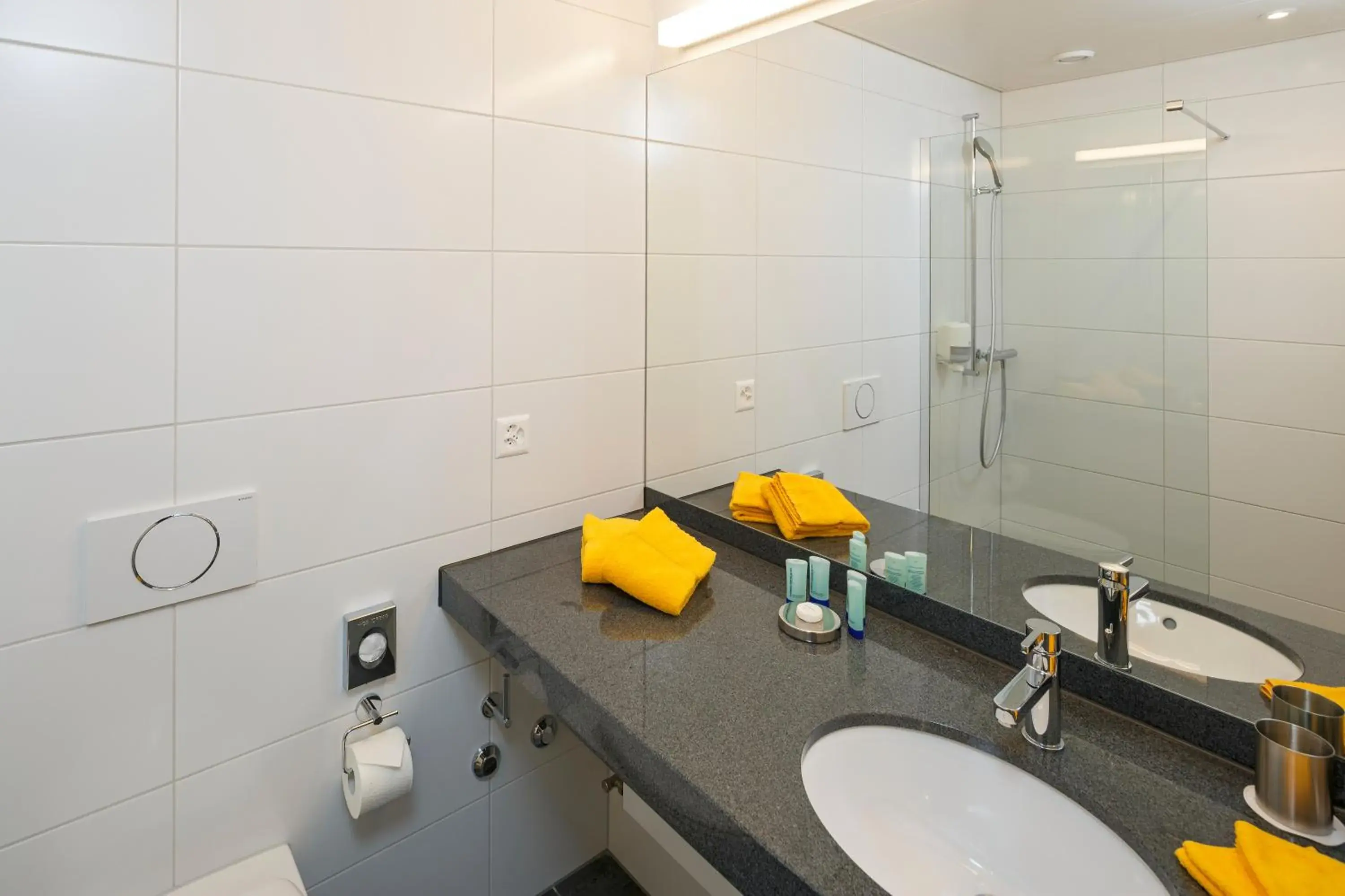 Standard Double Room in Villmergen Swiss Quality Hotel Standard Double Room in Villmergen Swiss Quality Hotel