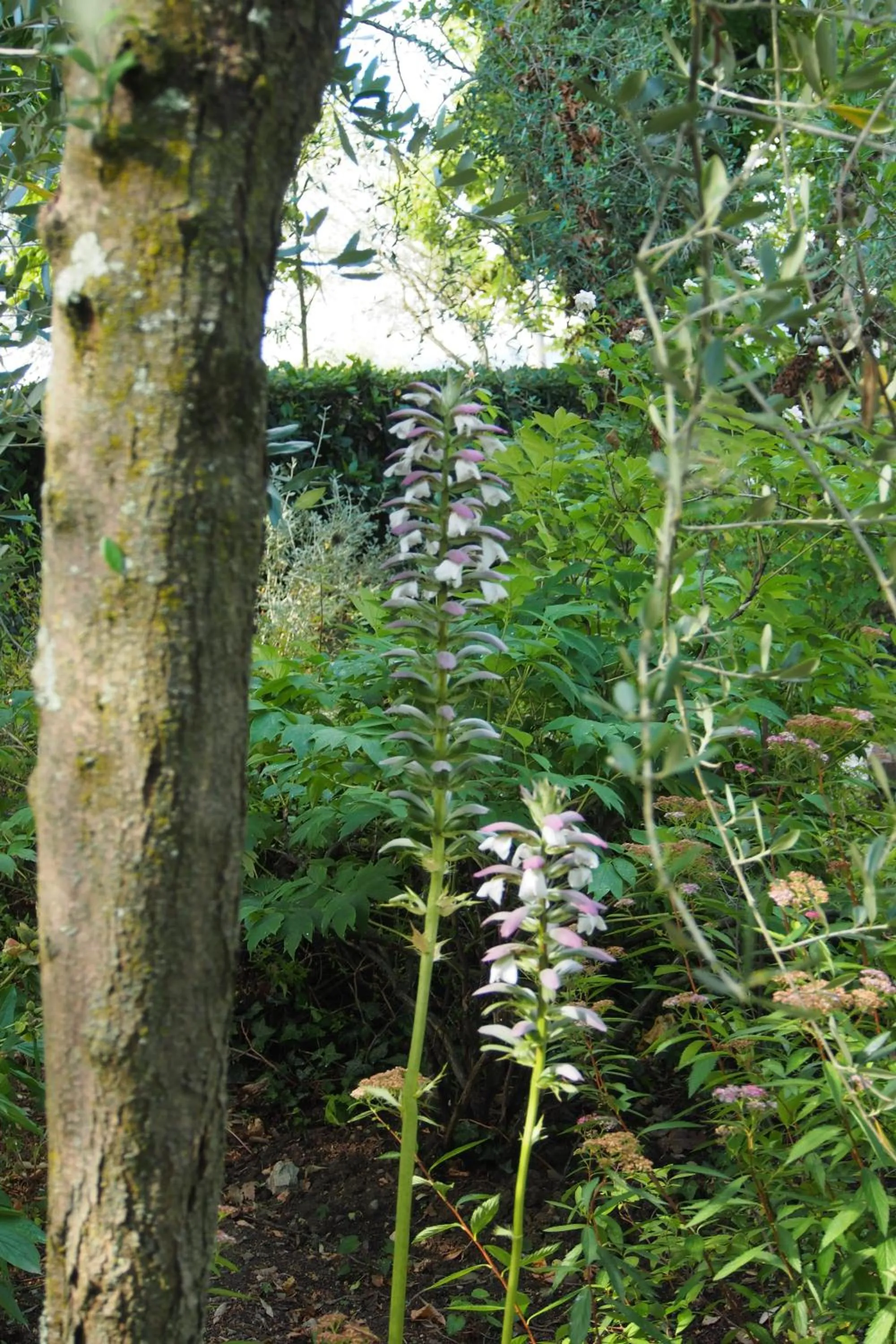 I Parigi Corbinelli Residenze