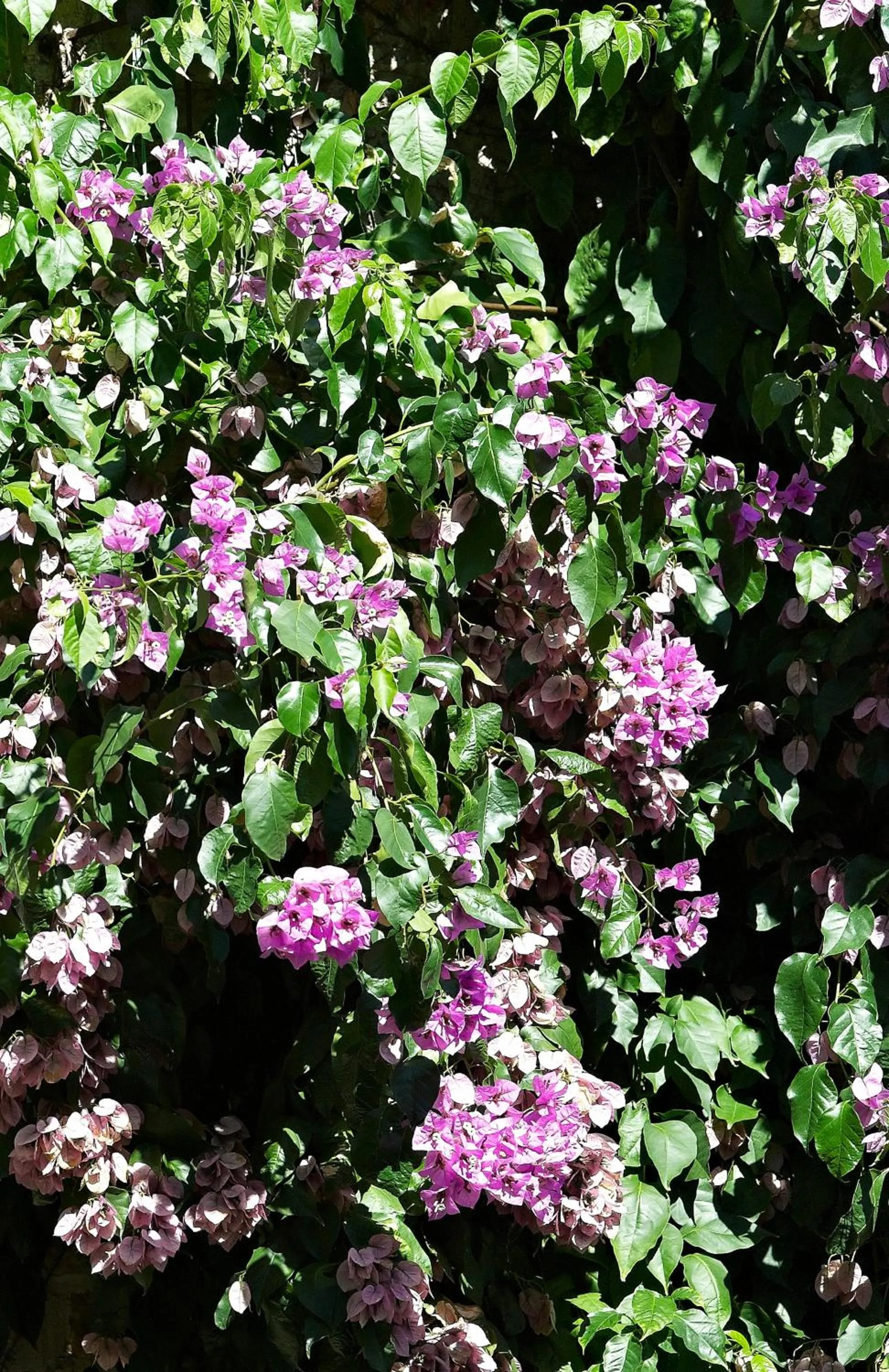 I Parigi Corbinelli Residenze