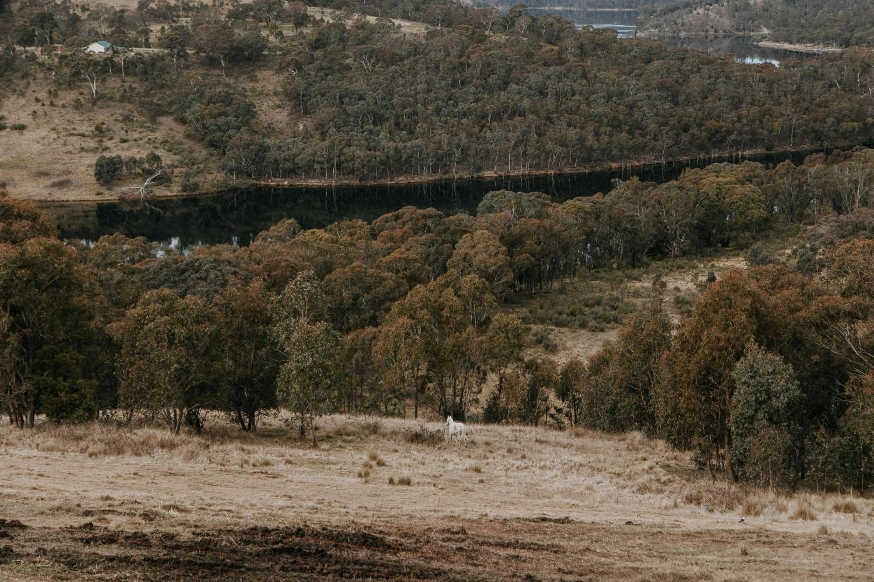 Natural landscape in Eagle View Escape