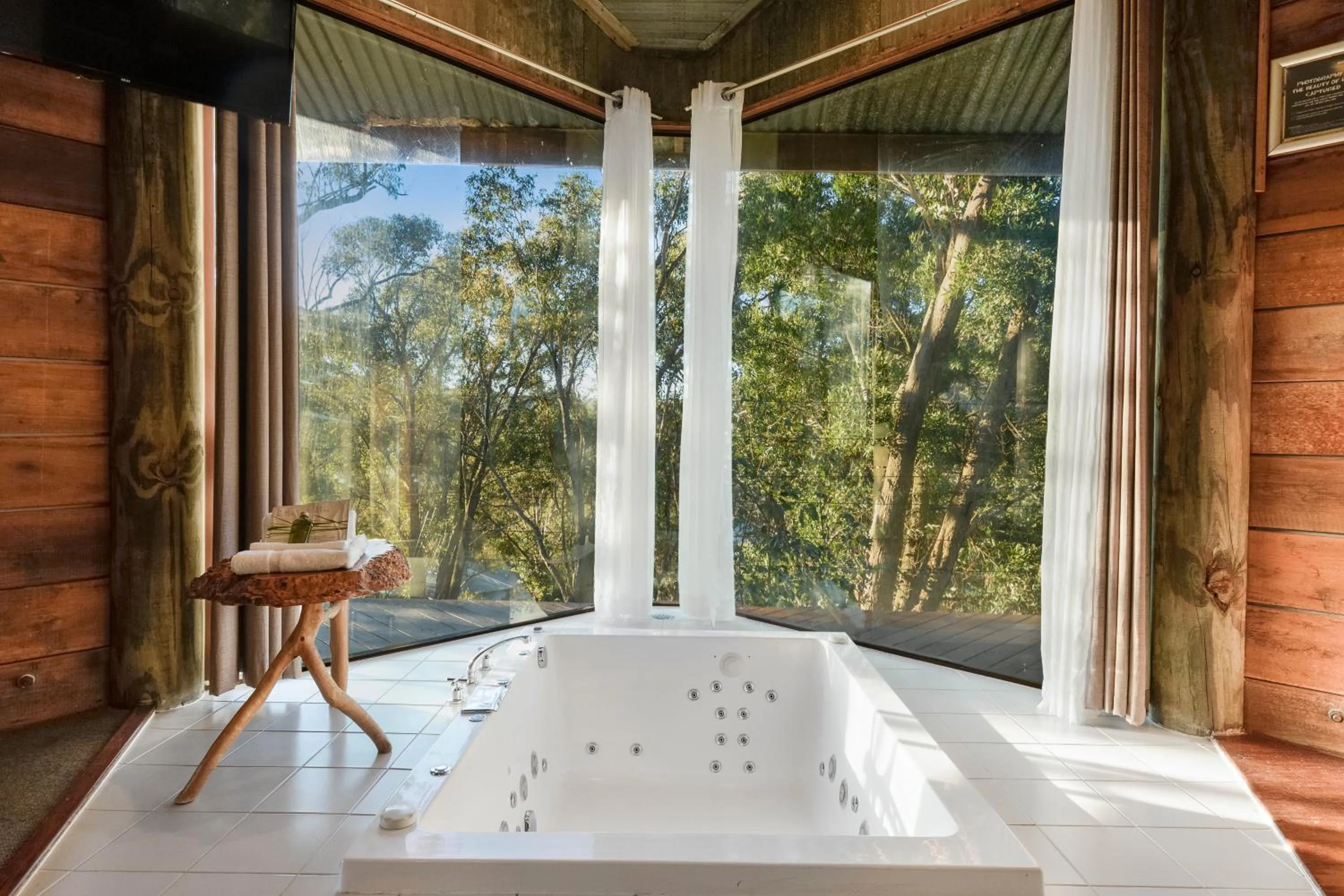 Hot Tub in Eagle View Escape