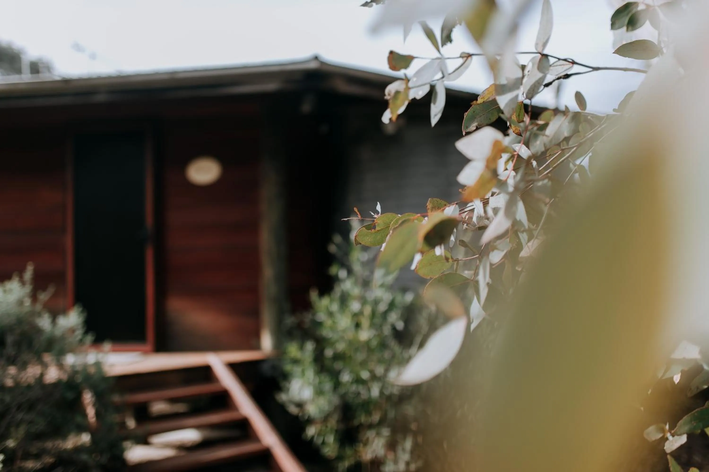 Garden in Eagle View Escape