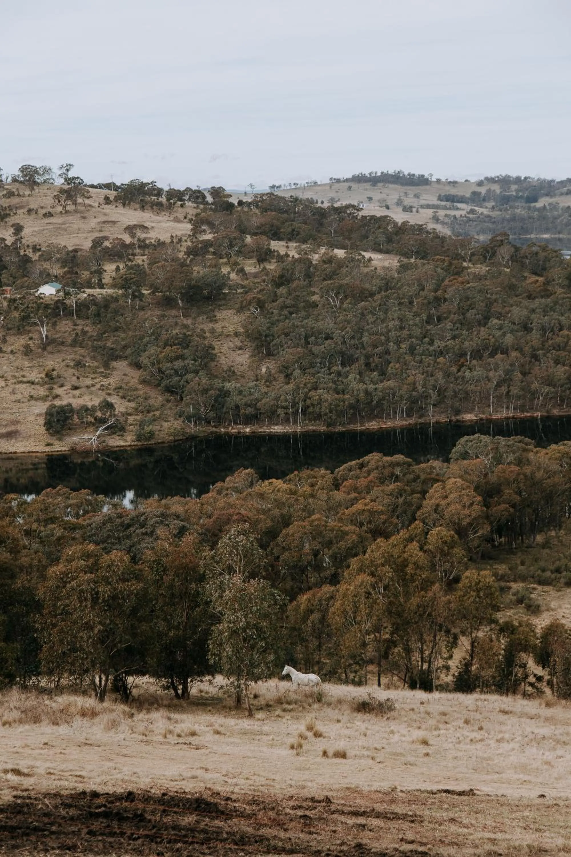 River view in Eagle View Escape