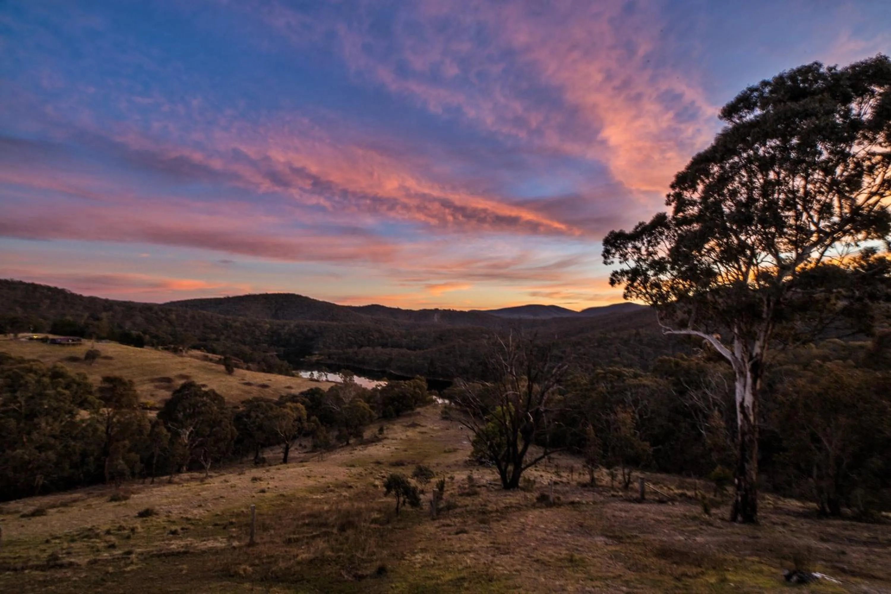 Garden in Eagle View Escape
