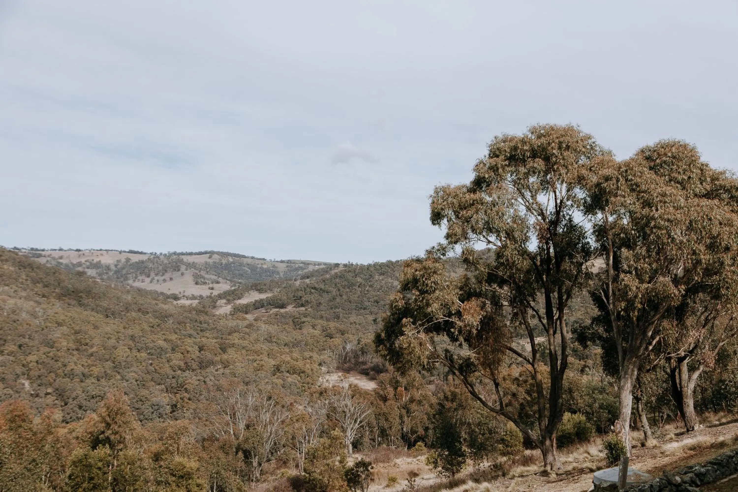 Natural landscape in Eagle View Escape