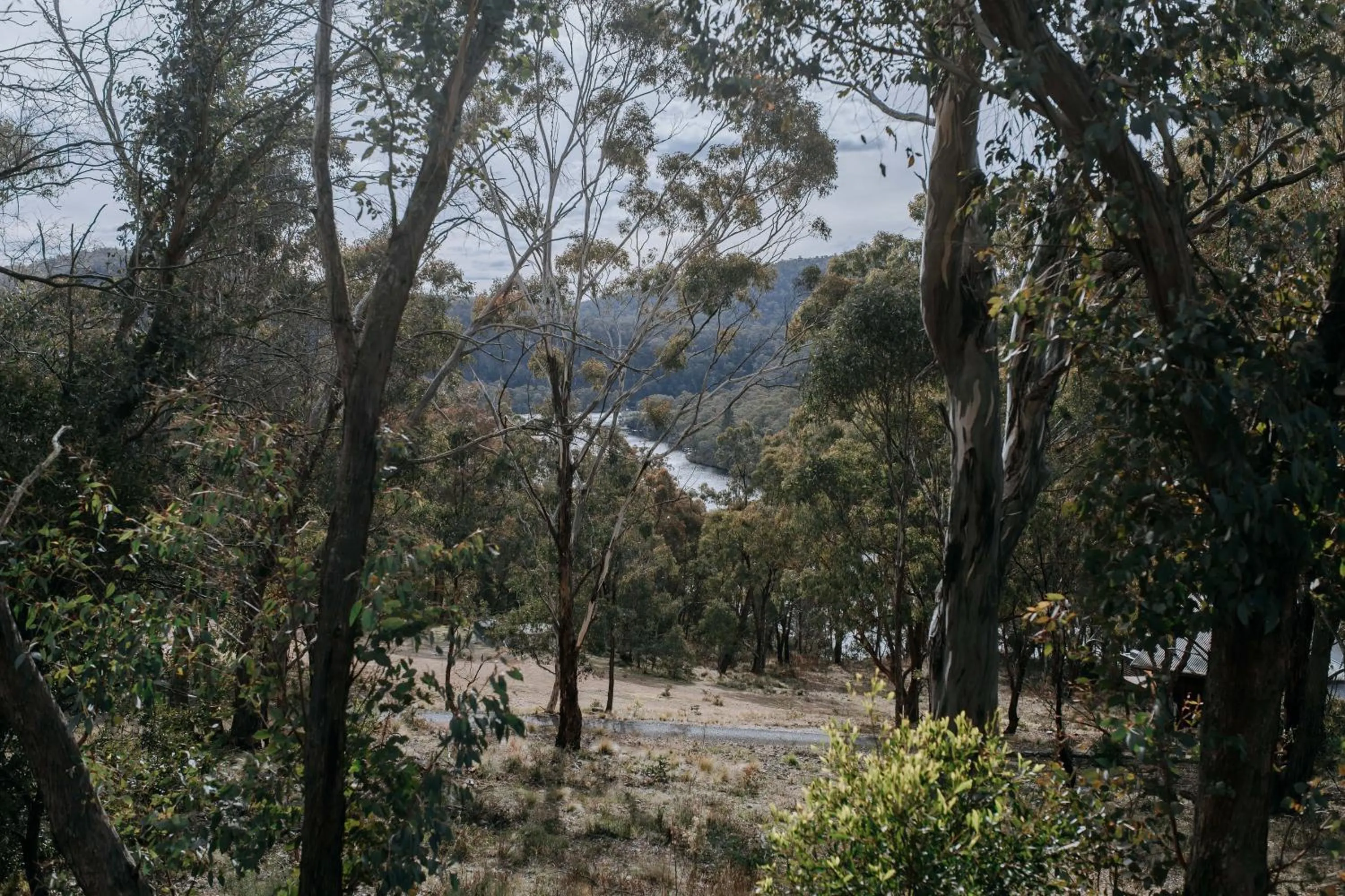 Natural landscape in Eagle View Escape