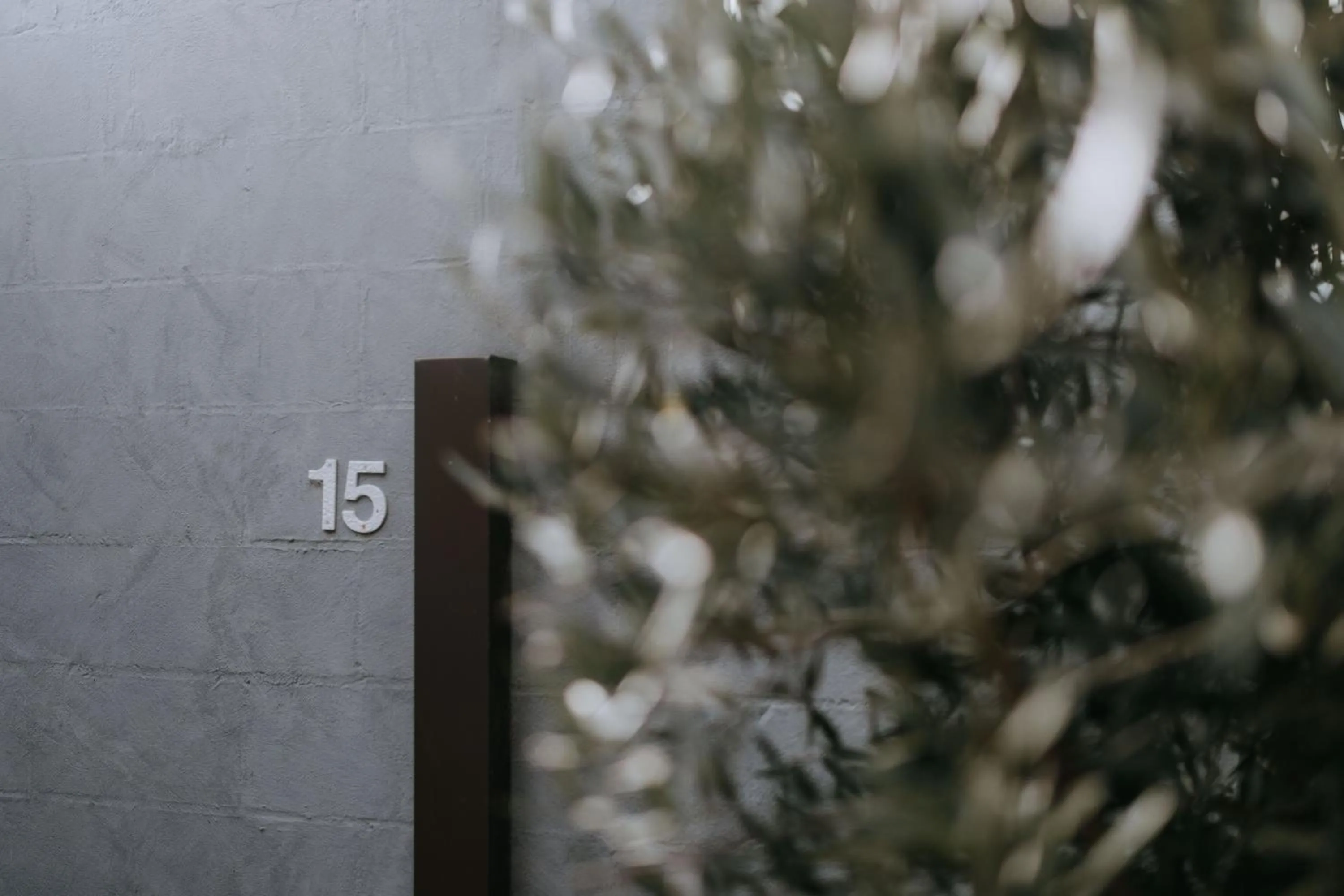 Facade/entrance in Eagle View Escape