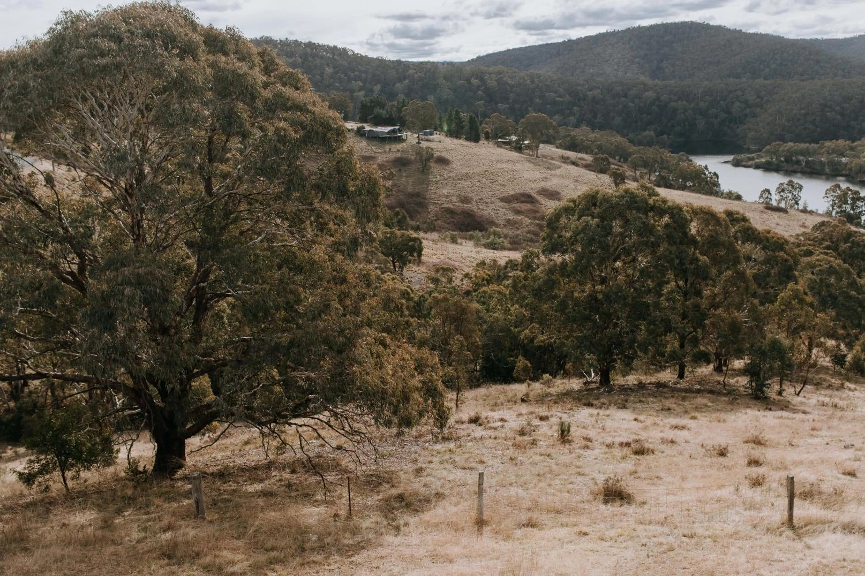 Natural landscape in Eagle View Escape