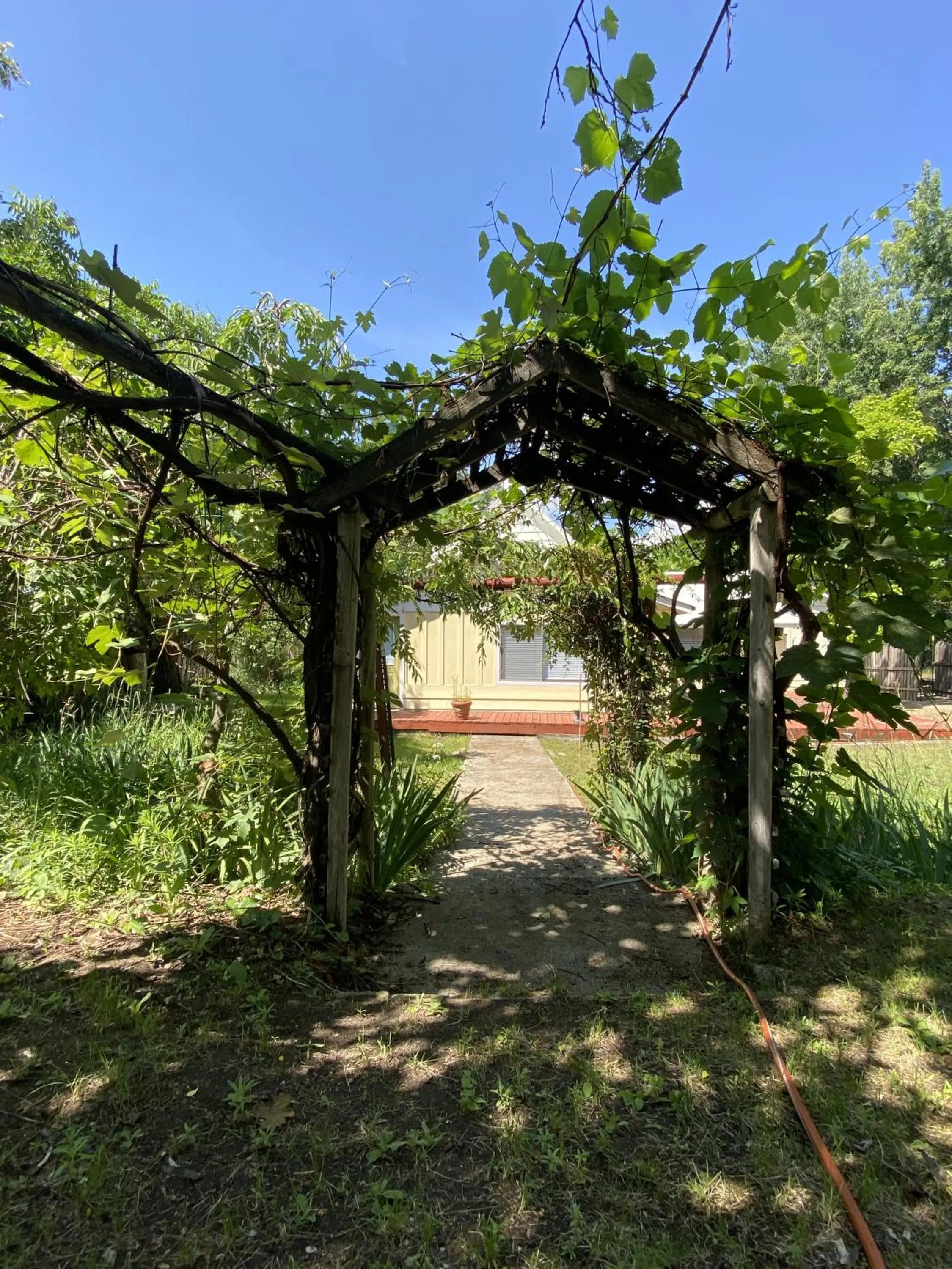 Garden in Columbia Point Resort