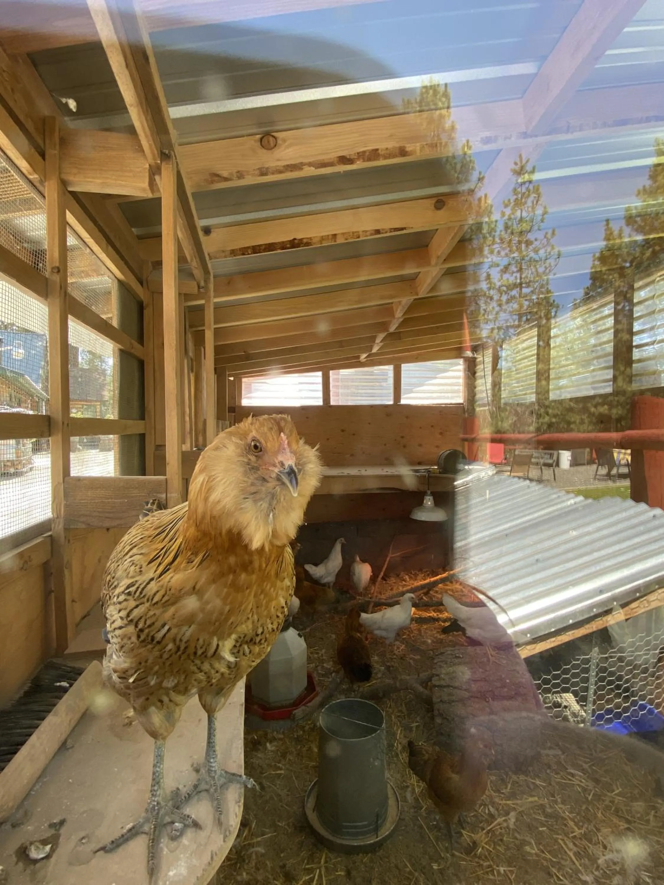 Garden in Columbia Point Resort