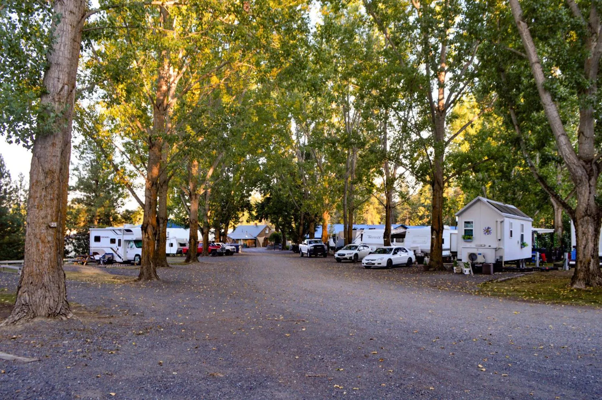 Columbia Point Resort