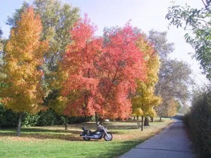 Spring in Da Santo Hotel Ristorante Pizzeria
