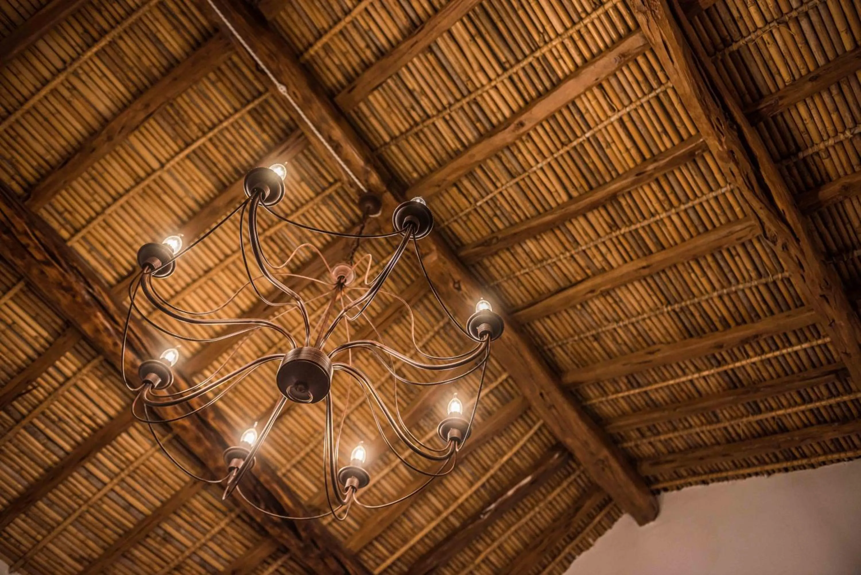 Hotel Anticos Palathos