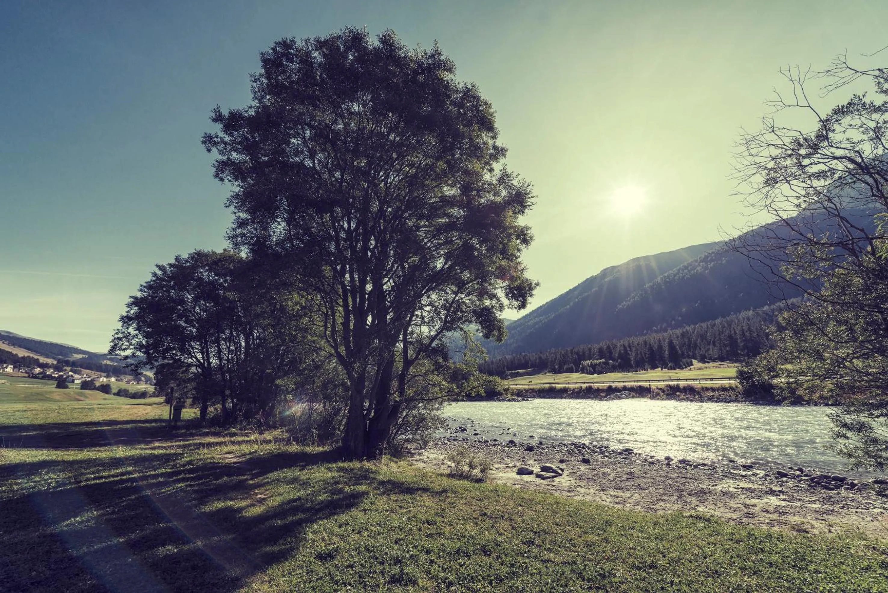 View (from property/room) in Chesa Stuva Colani